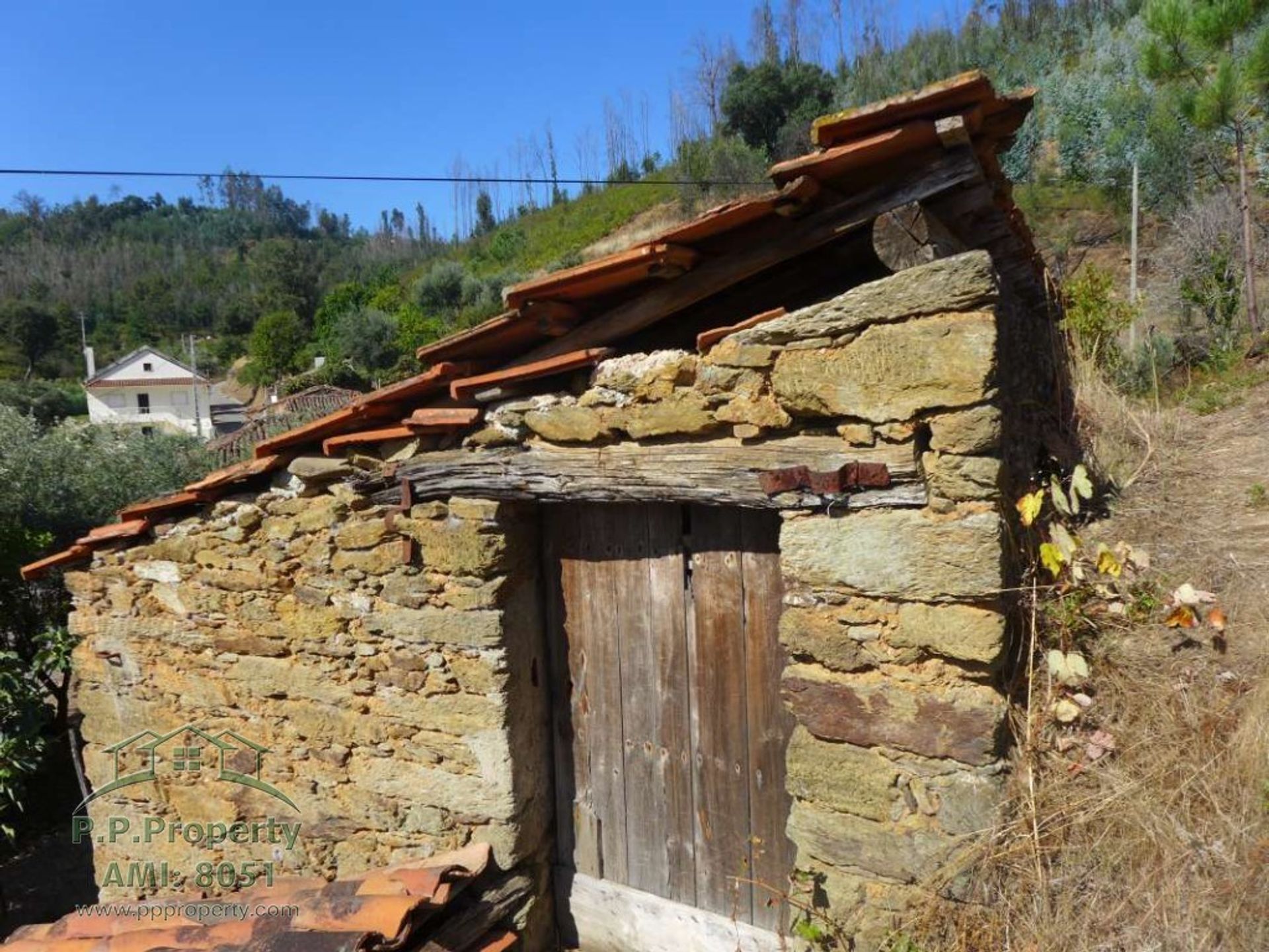 Rumah di Figueiró dos Vinhos, Leiria 11884653