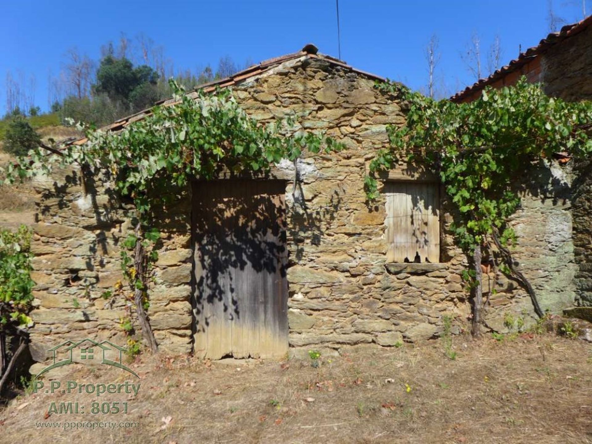 Rumah di Figueiró dos Vinhos, Leiria 11884653