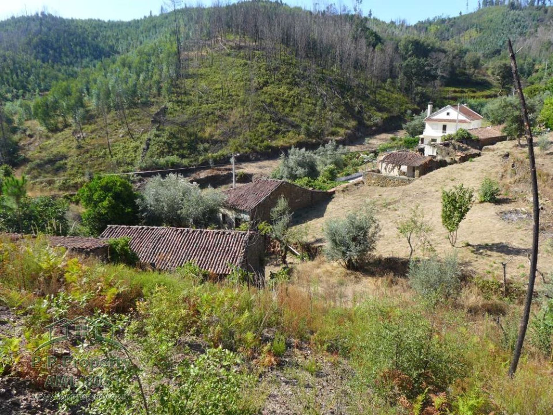 房子 在 Figueiró dos Vinhos, Leiria 11884653