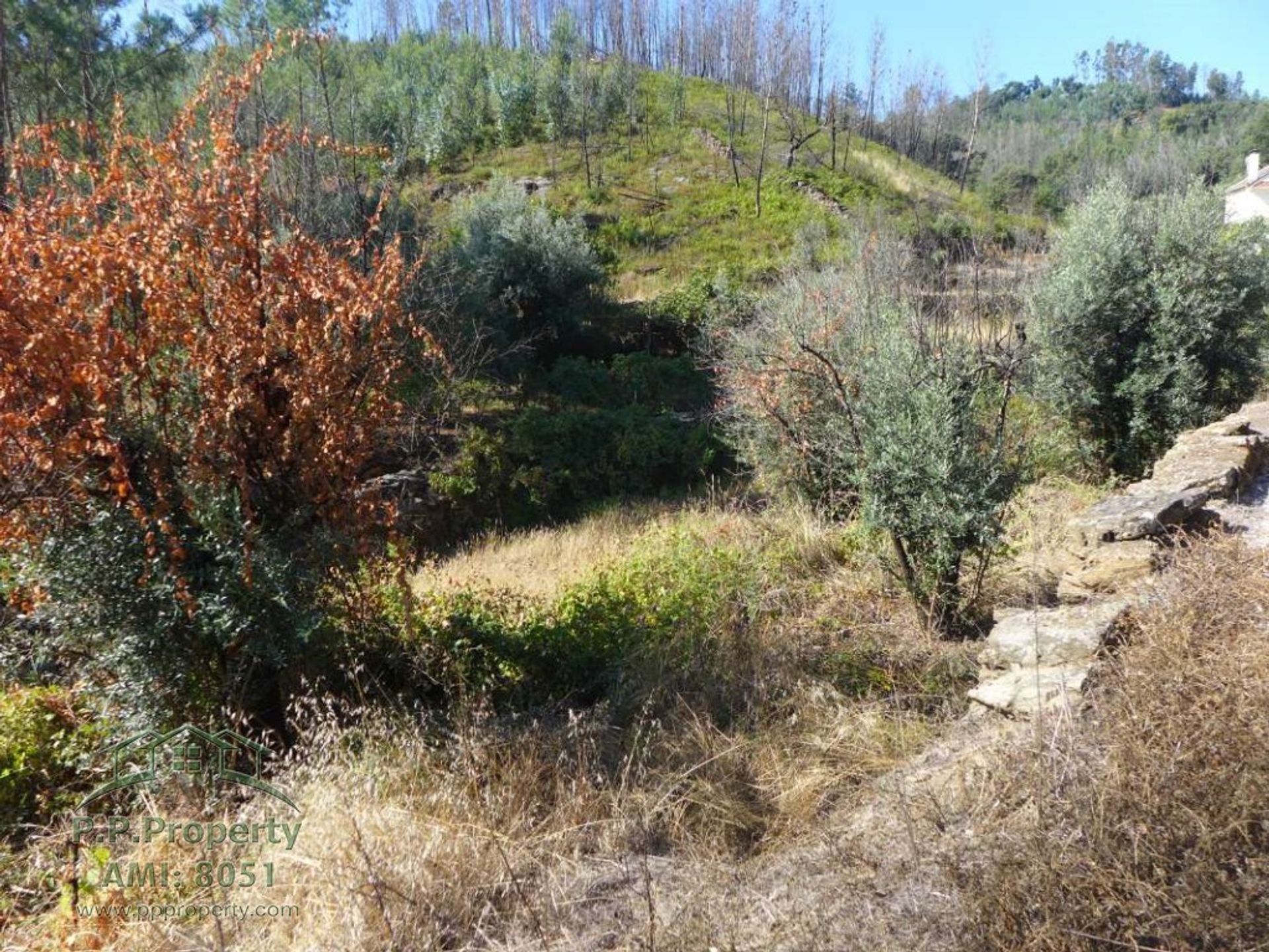 Rumah di Figueiró dos Vinhos, Leiria 11884653