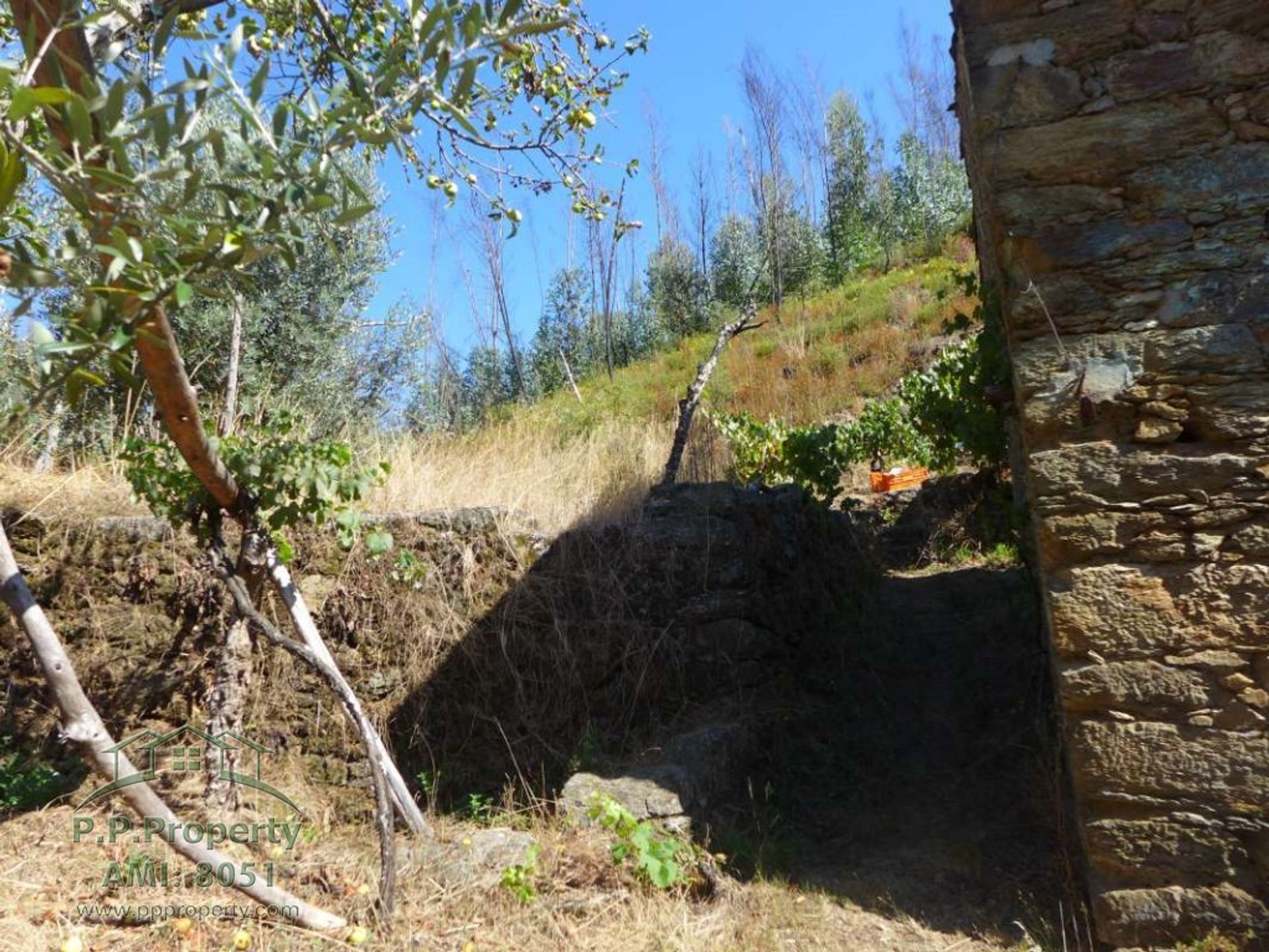 Hus i Figueiró dos Vinhos, Leiria 11884653