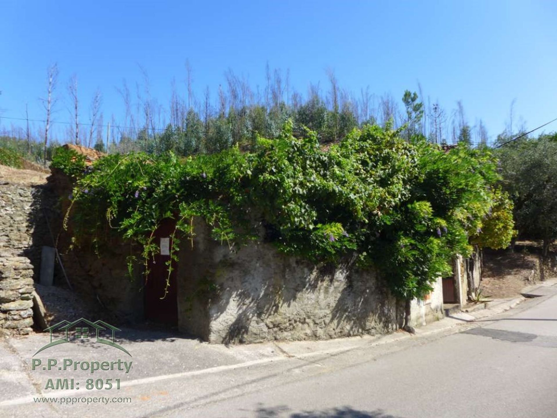 Rumah di Figueiró dos Vinhos, Leiria 11884653