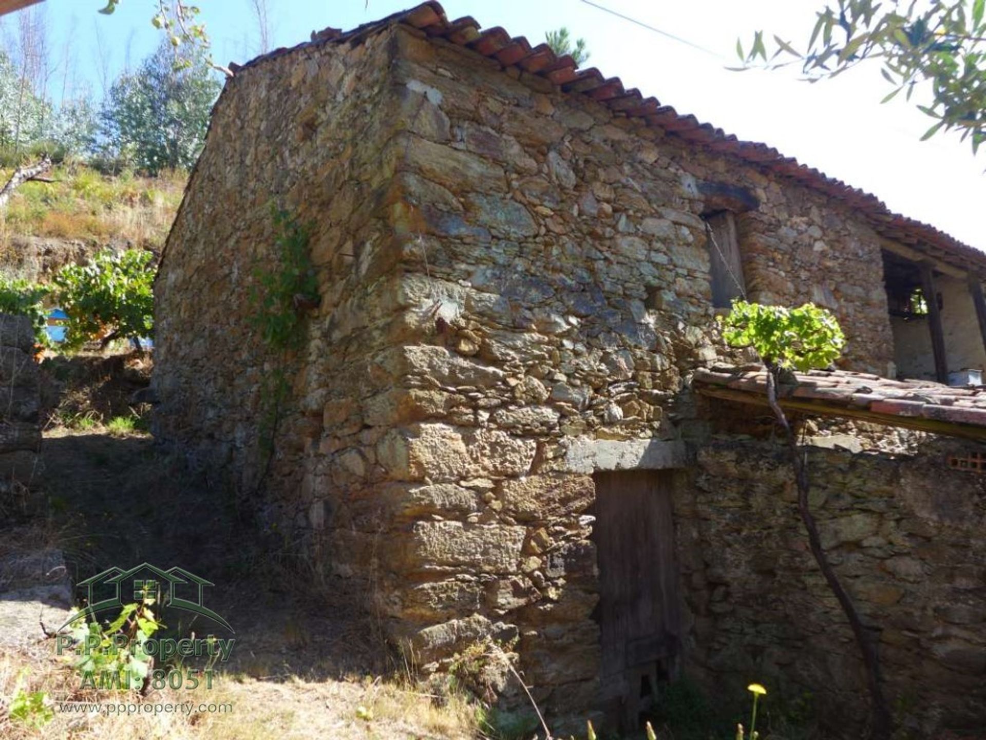 Hus i Figueiró dos Vinhos, Leiria 11884653