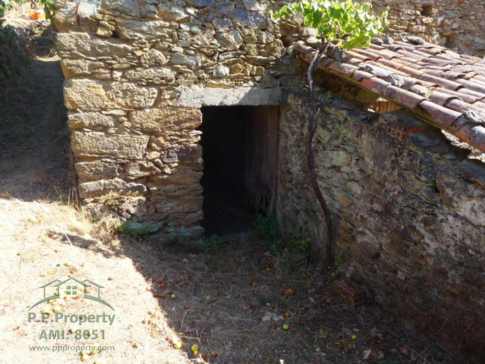 房子 在 Figueiró dos Vinhos, Leiria 11884653