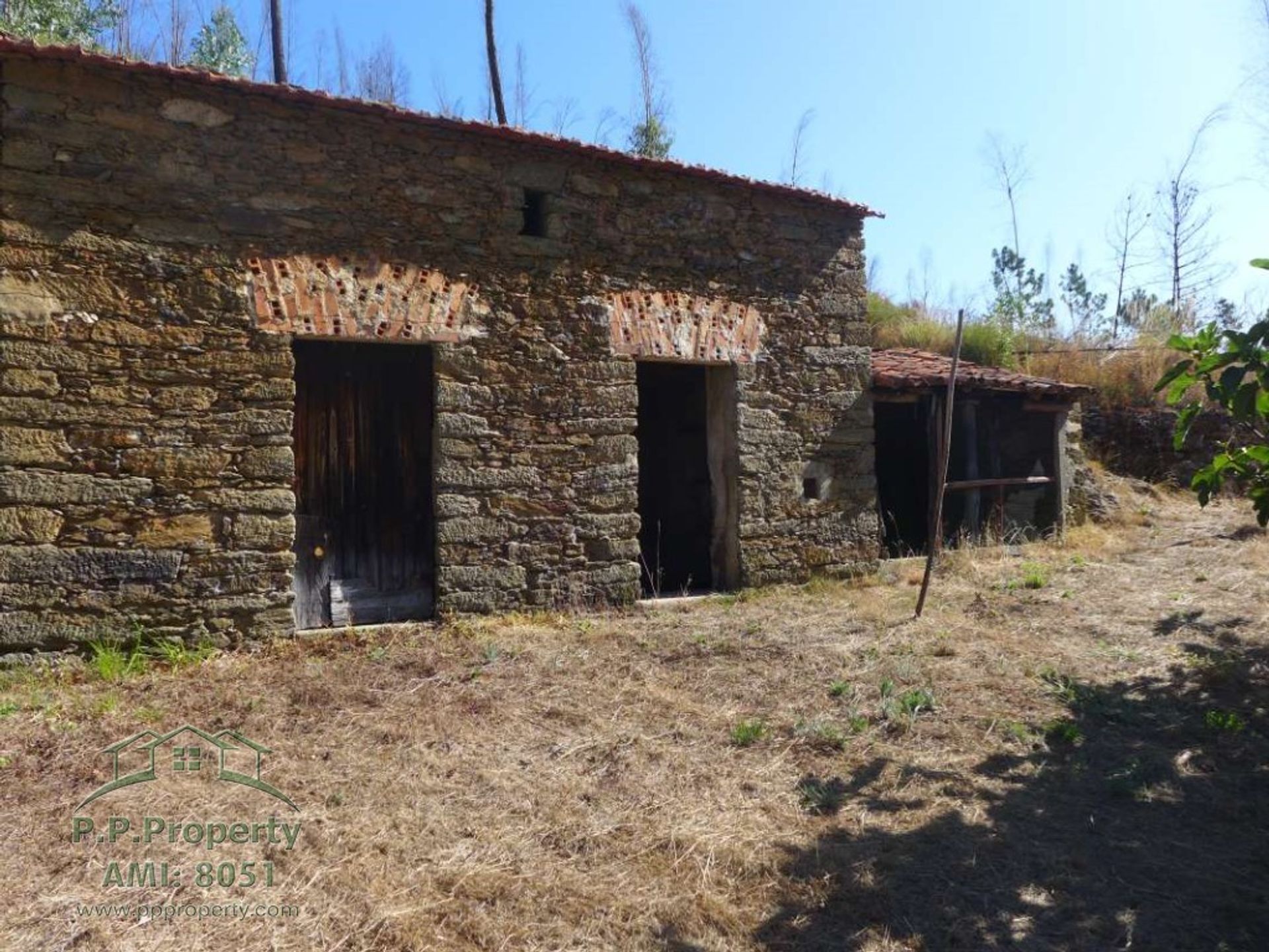 Hus i Figueiró dos Vinhos, Leiria 11884653