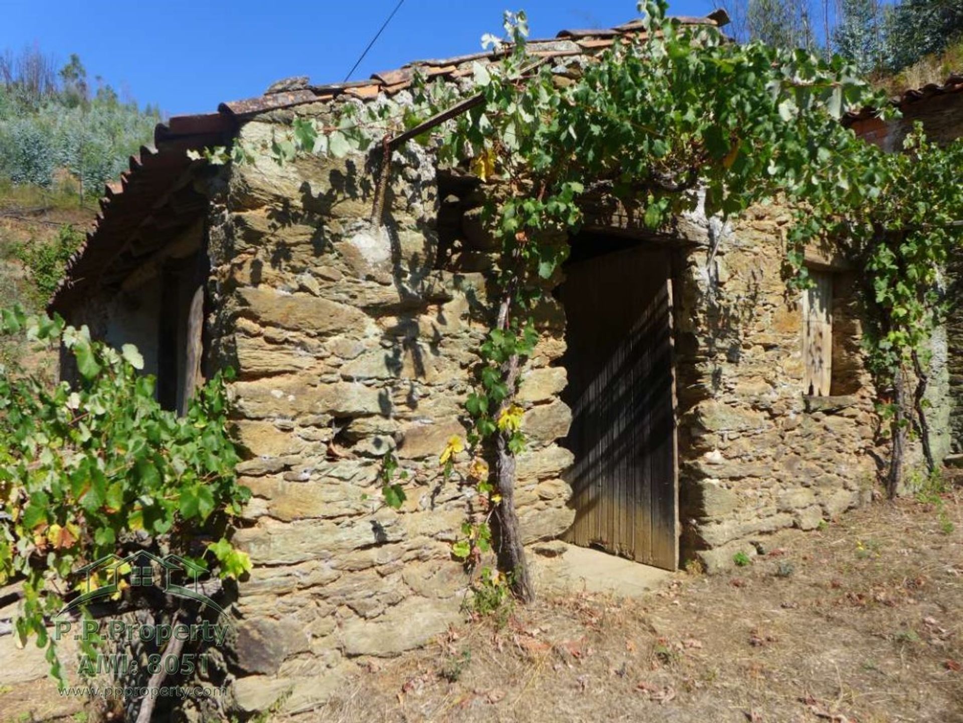 Rumah di Figueiró dos Vinhos, Leiria 11884653