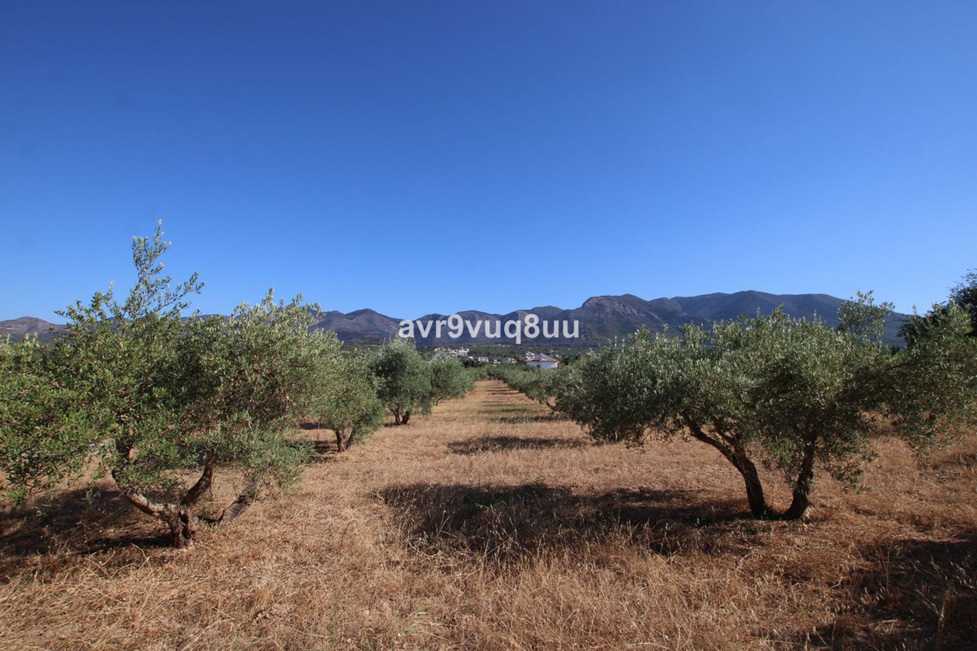 Casa nel Alhaurin el Grande, Andalusia 11885060