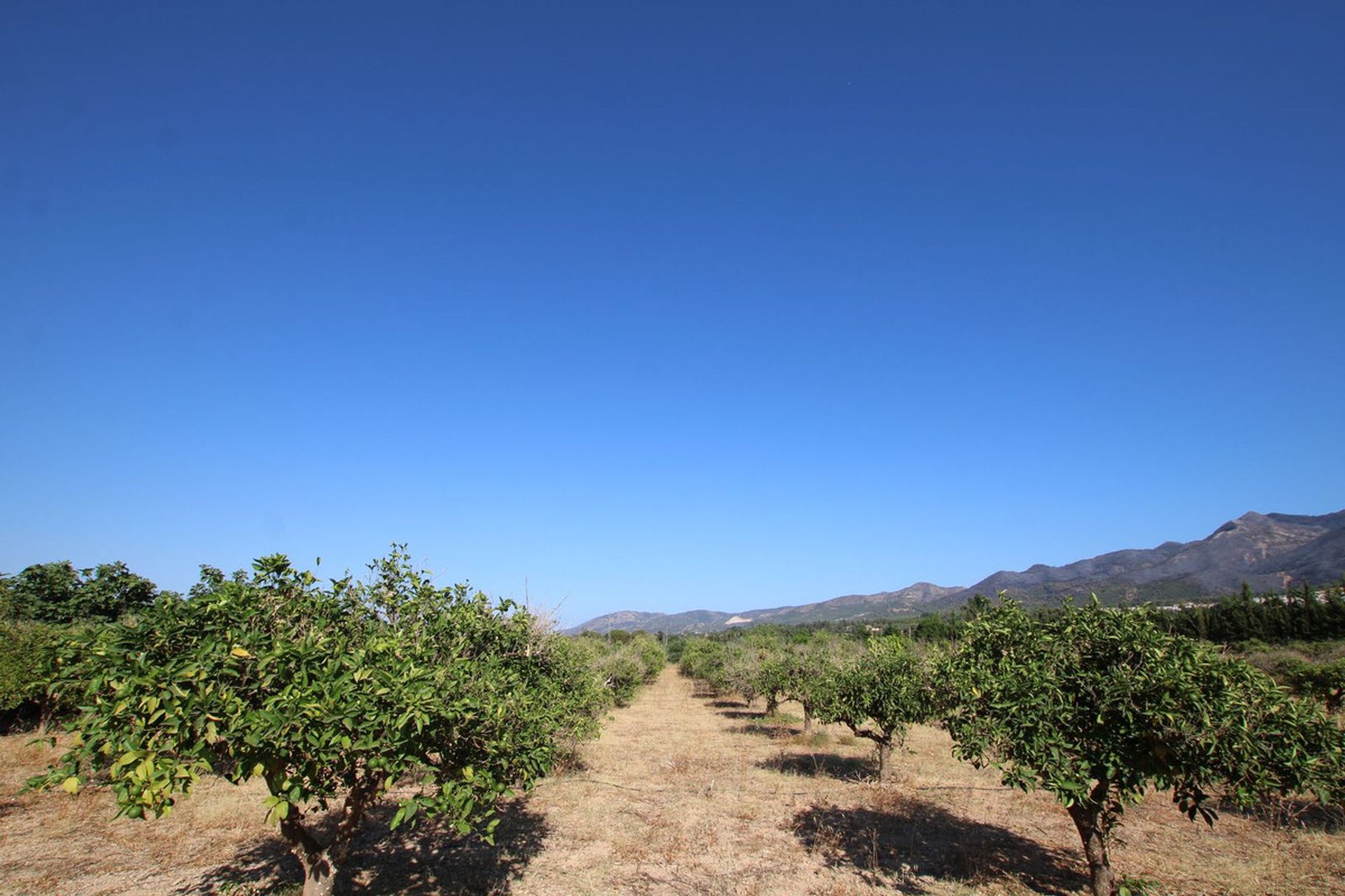 بيت في Alhaurín el Grande, Andalusia 11885060