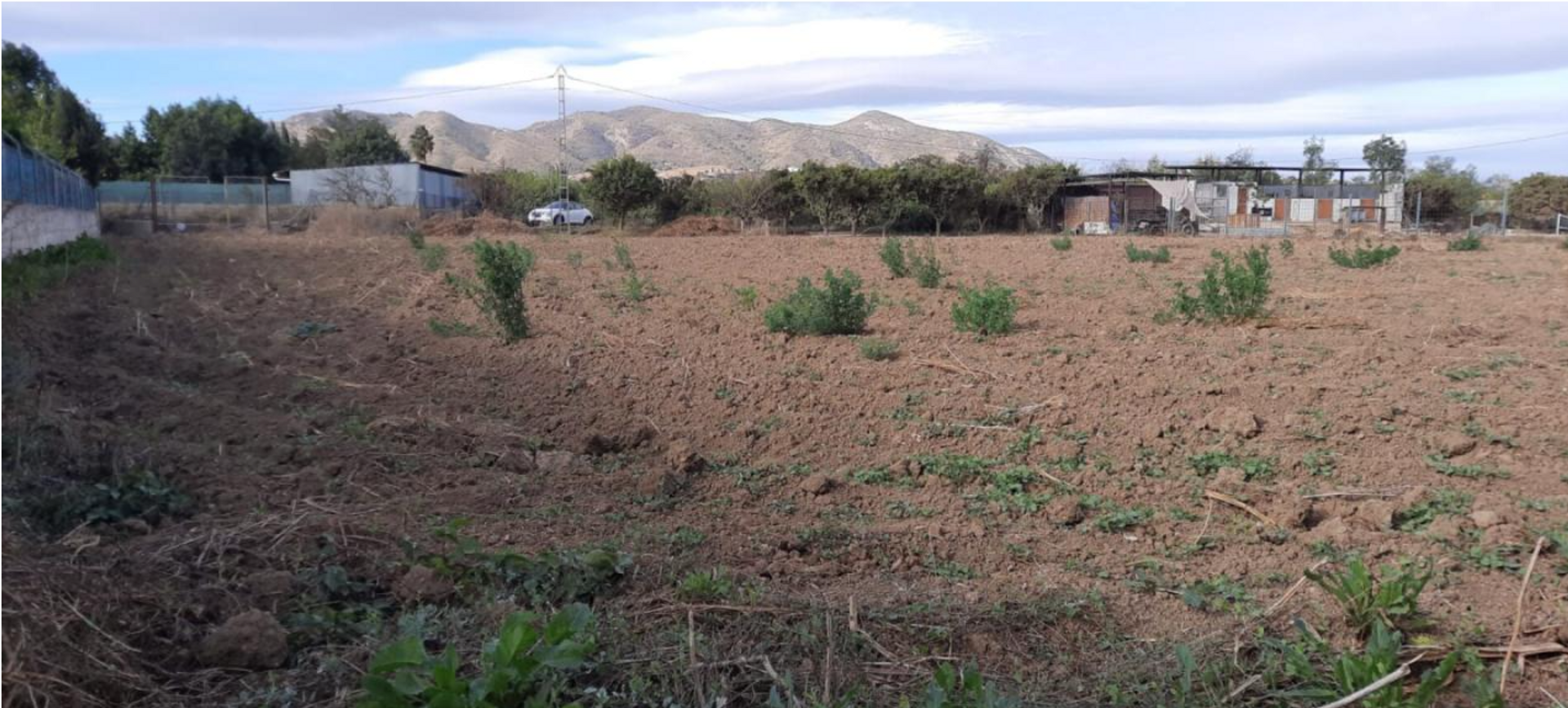 Land in Santa Amalia, Extremadura 11885689