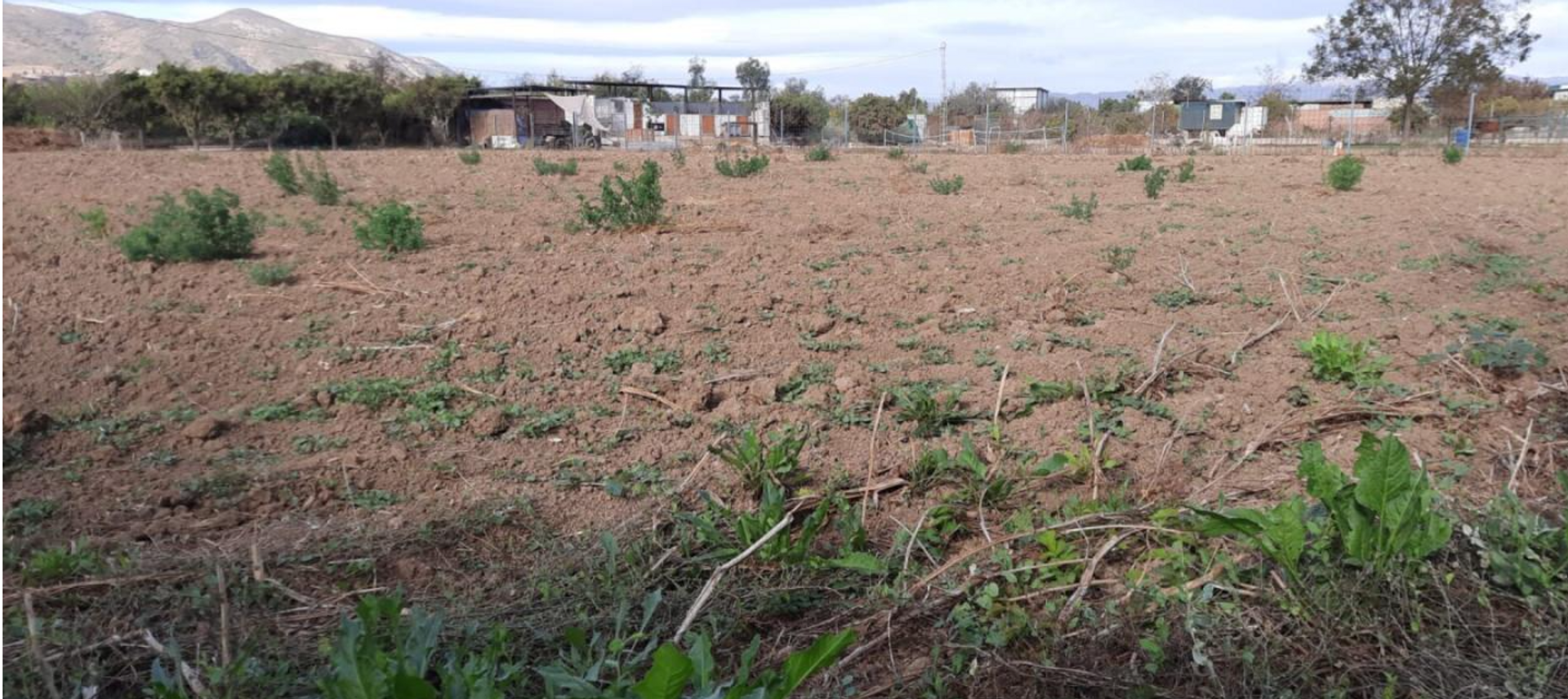 Tierra en Santa Amalia, Extremadura 11885689