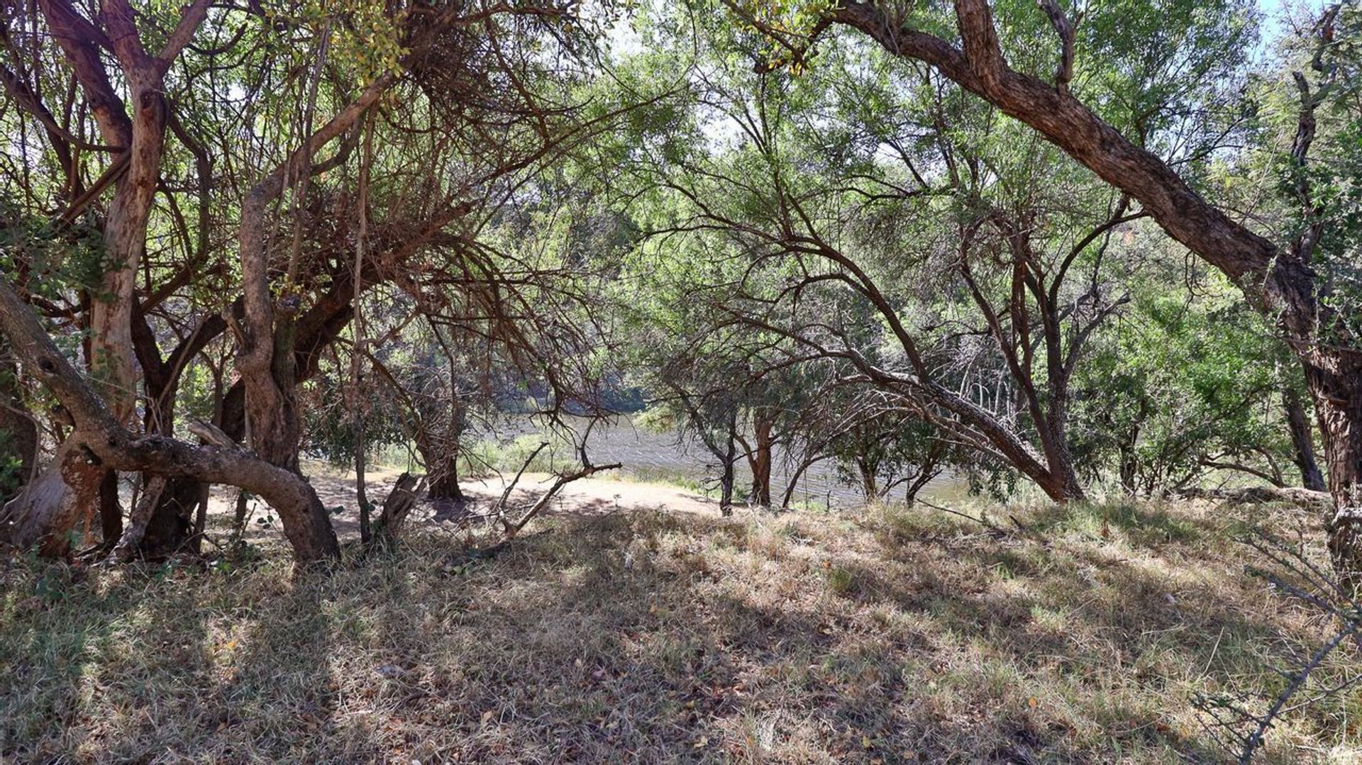 Tierra en baños calientes, Limpopo 11886020