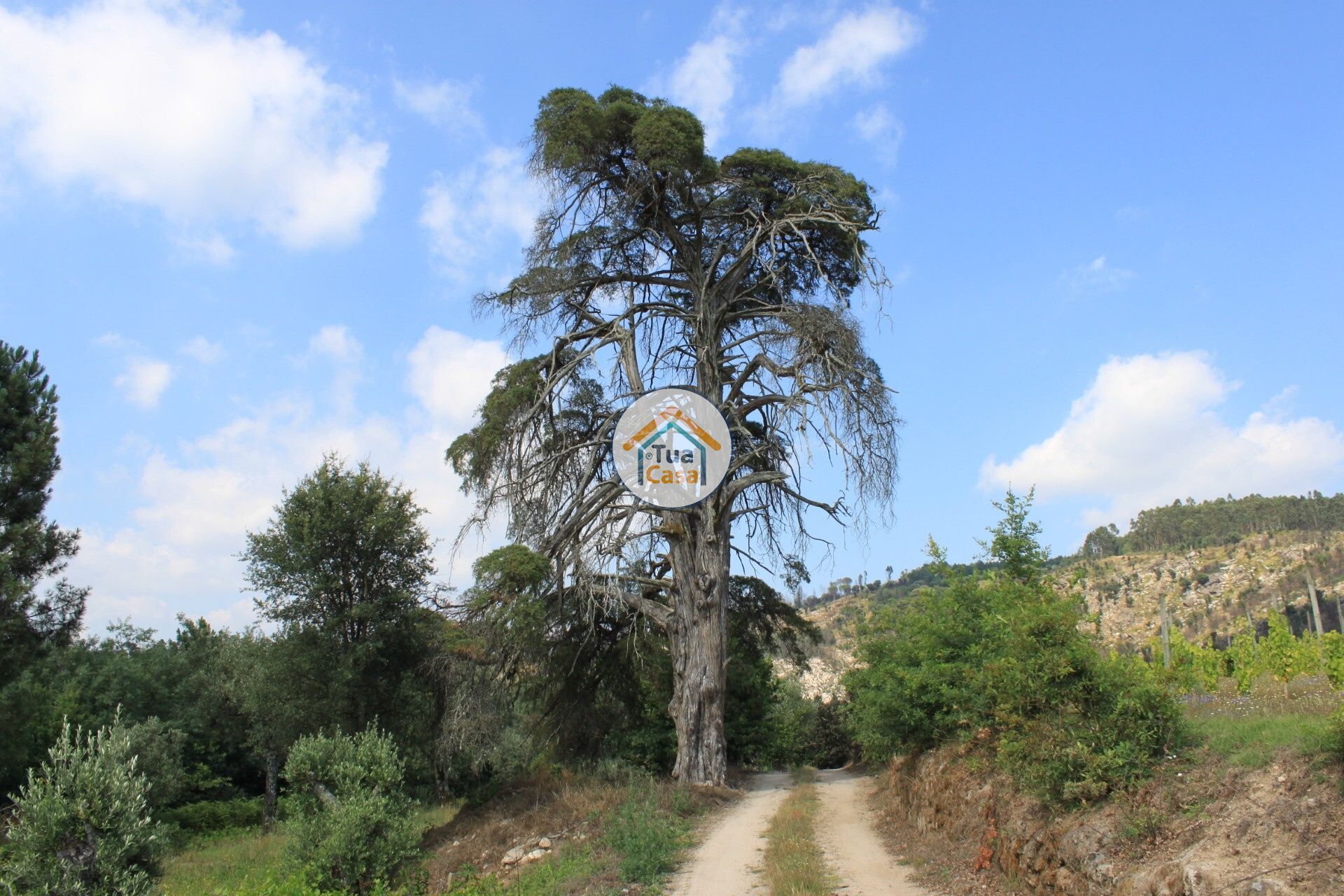 casa en Silgueiros, Viseu District 11886256