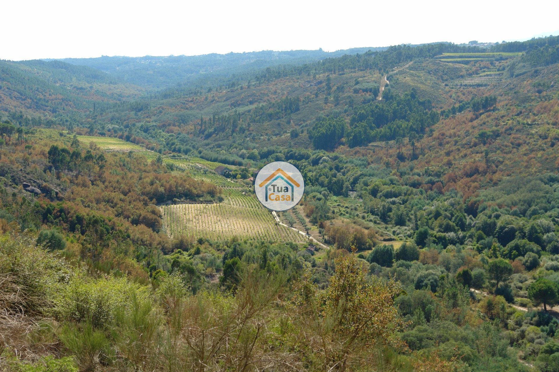 casa en Silgueiros, Viseu District 11886256