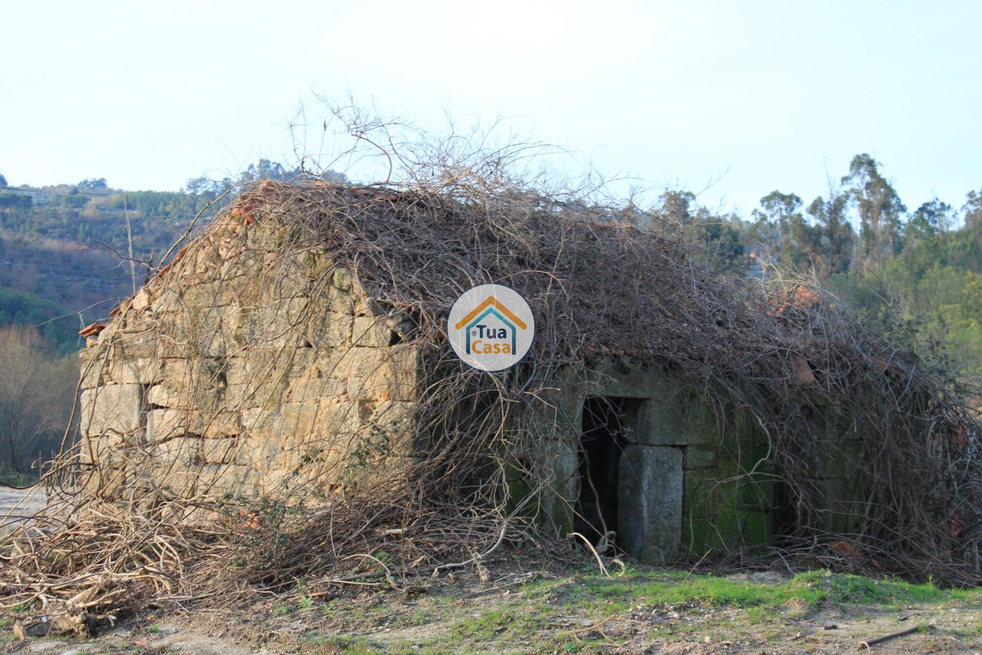 casa en Silgueiros, Viseu District 11886256