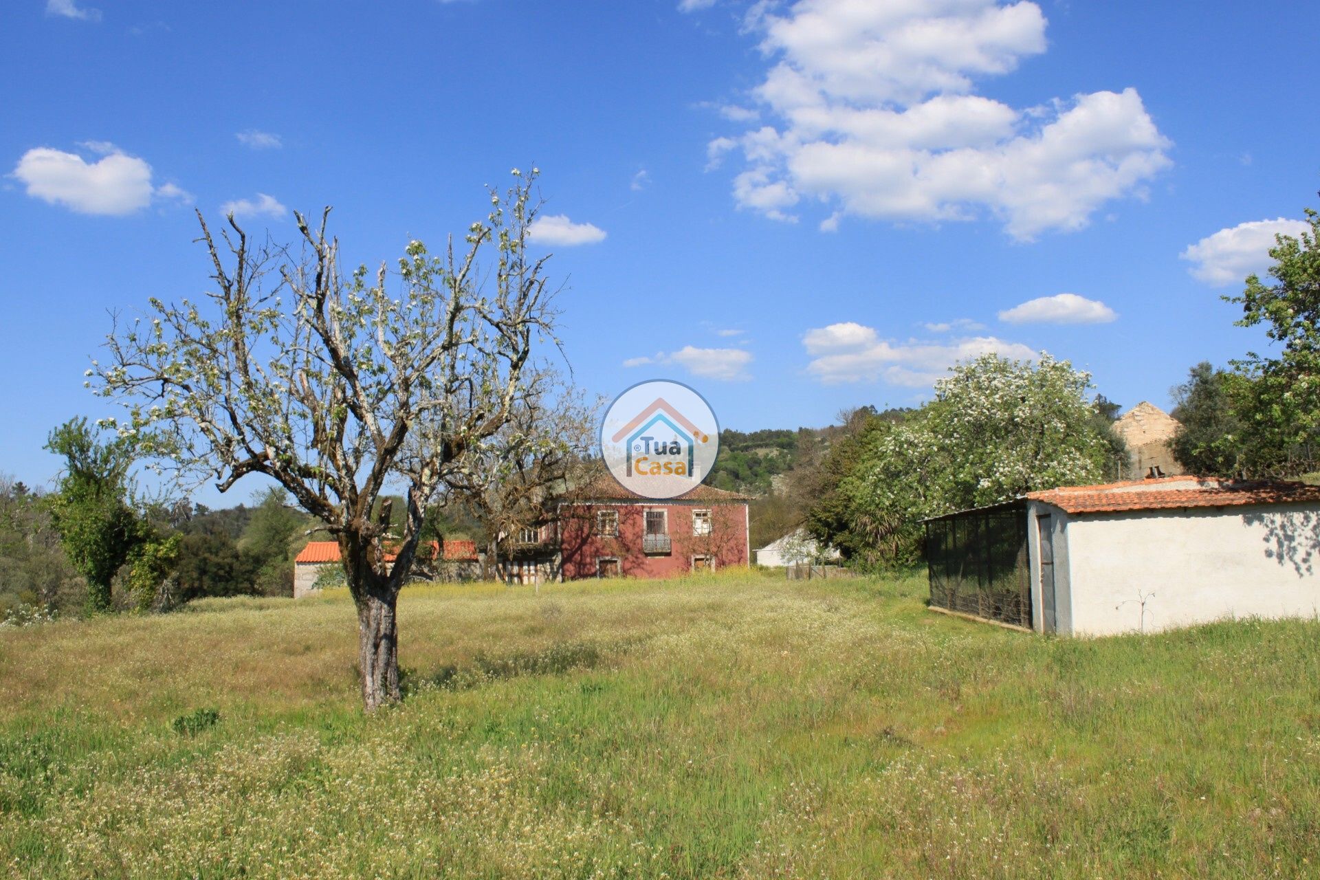 casa en Silgueiros, Viseu District 11886256