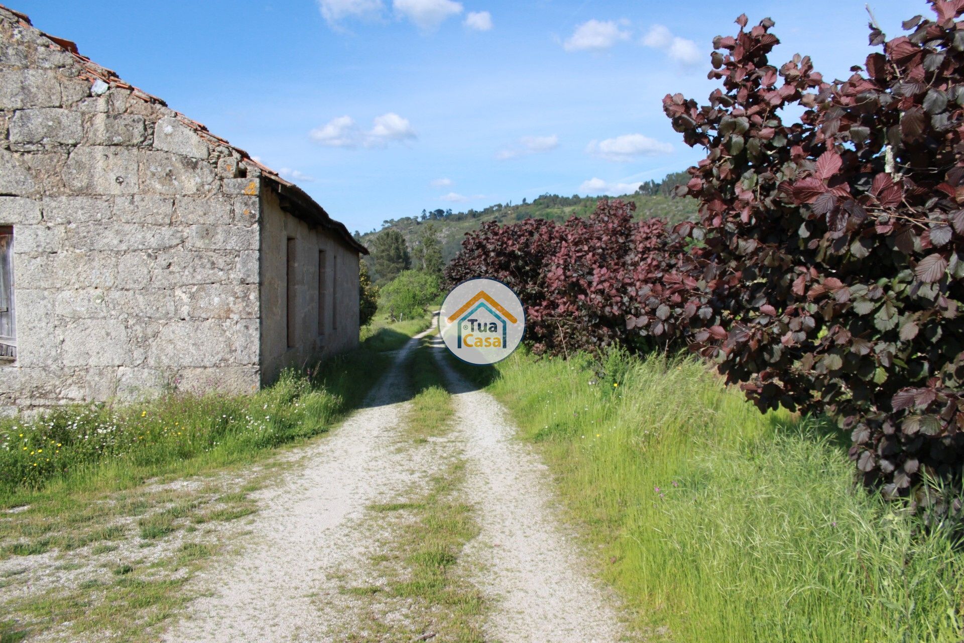 casa en Silgueiros, Viseu District 11886256