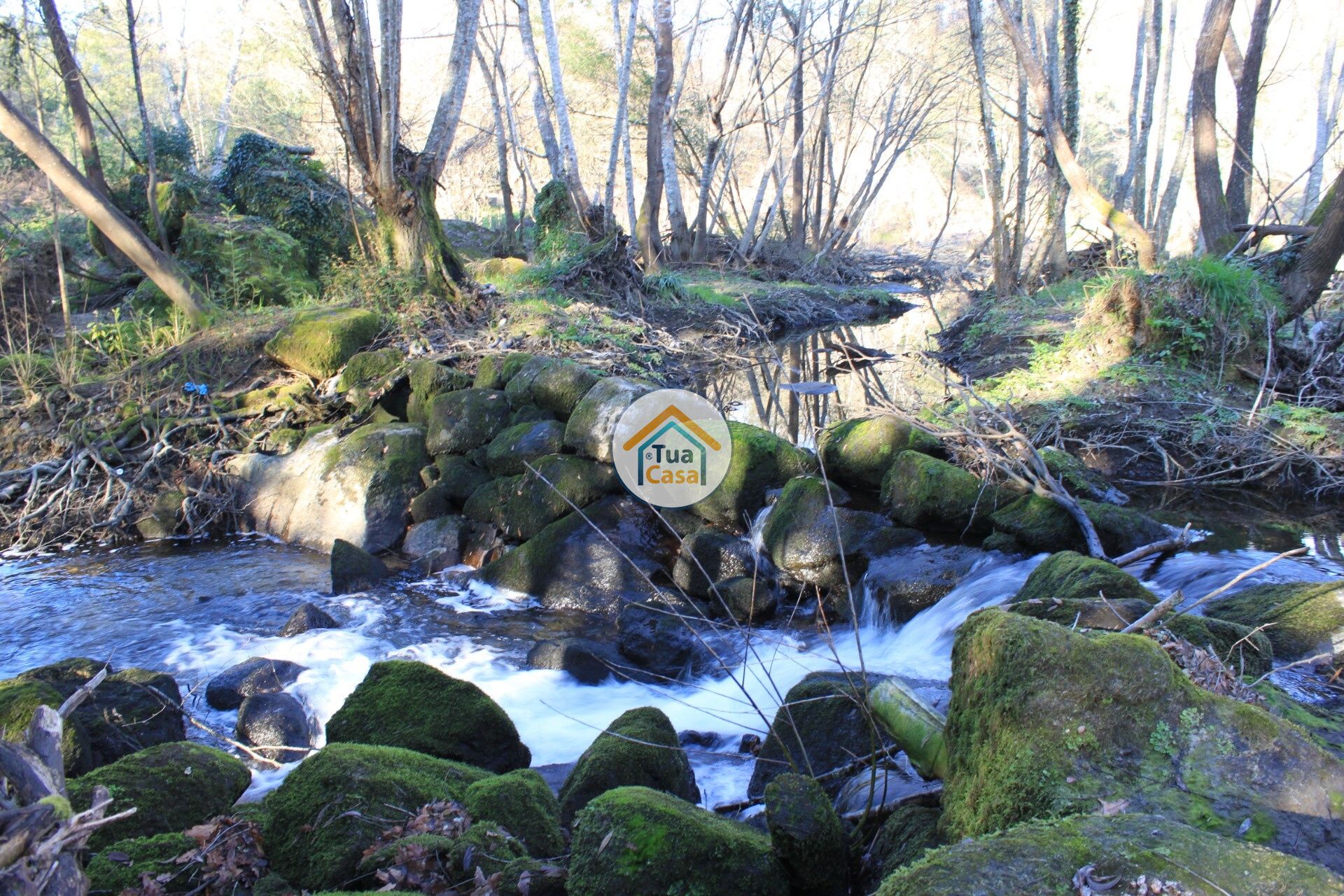 casa en Silgueiros, Viseu District 11886256