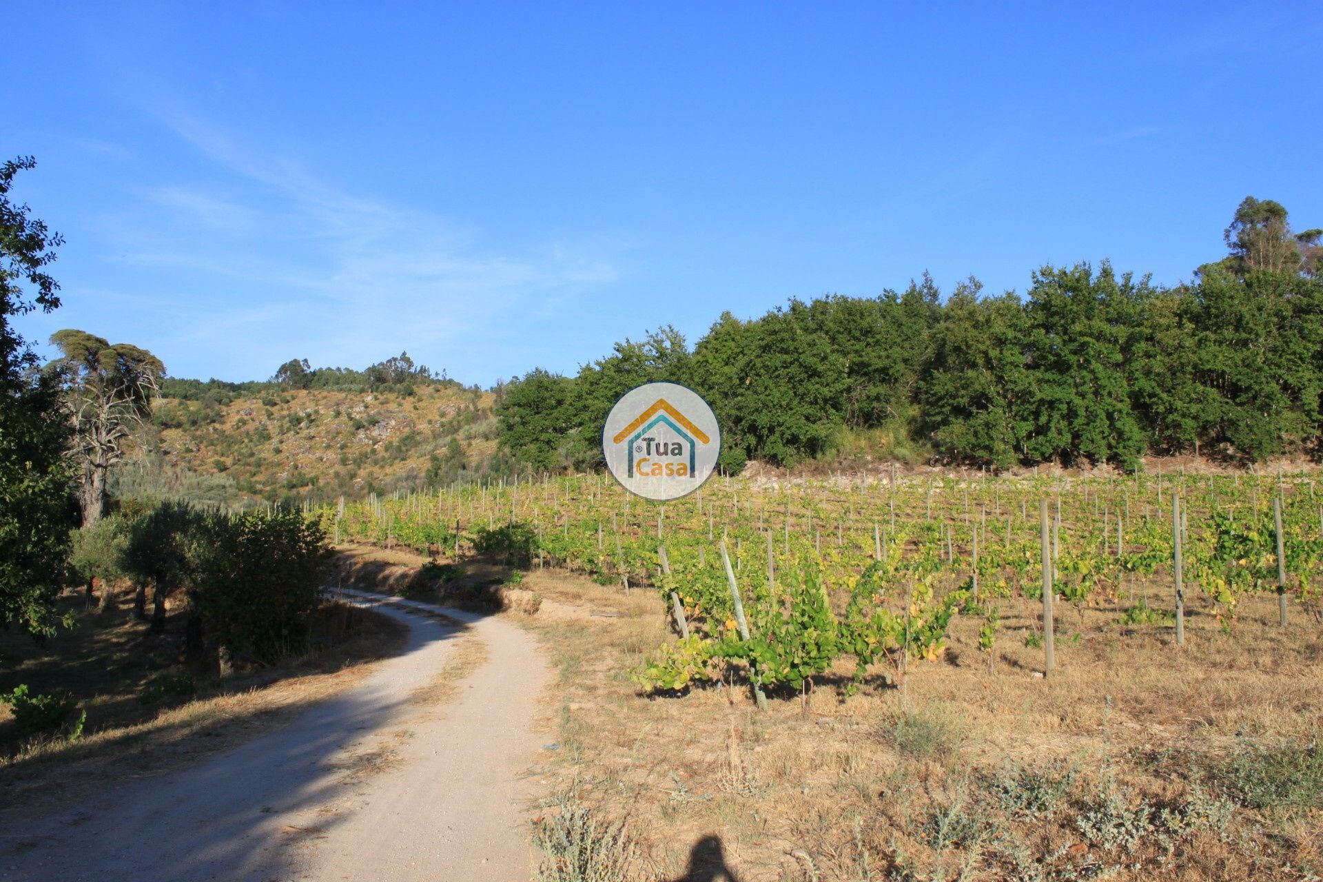 casa en Silgueiros, Viseu District 11886256