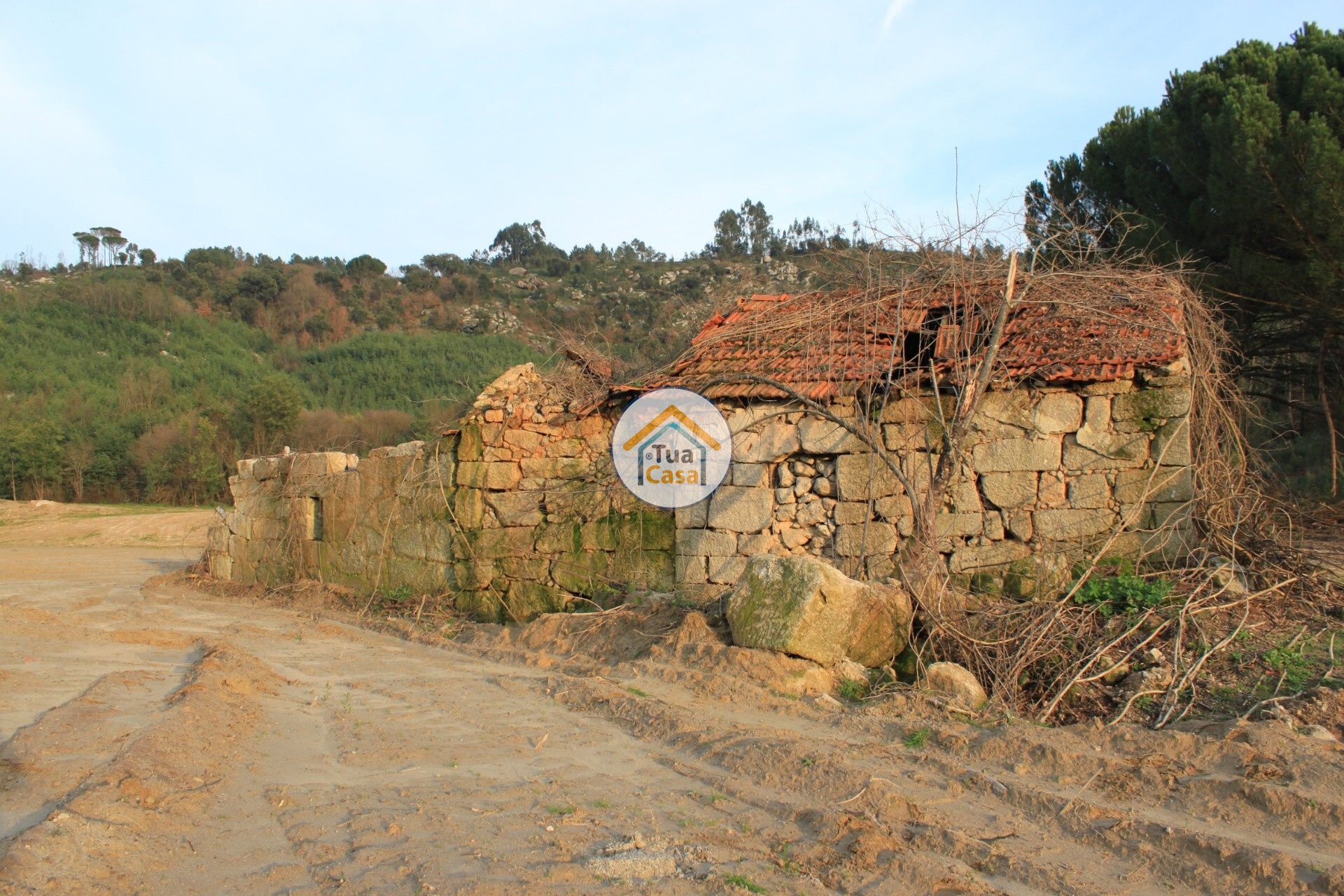 casa en Silgueiros, Viseu District 11886256