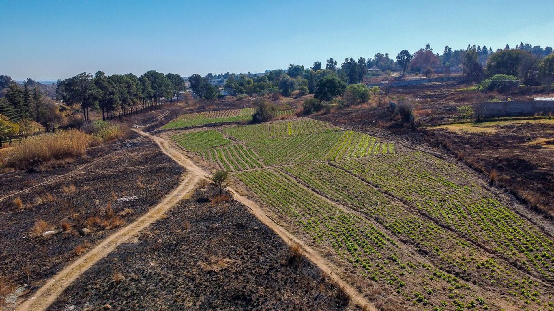 Muu sisään Midrand, Gauteng 11888795