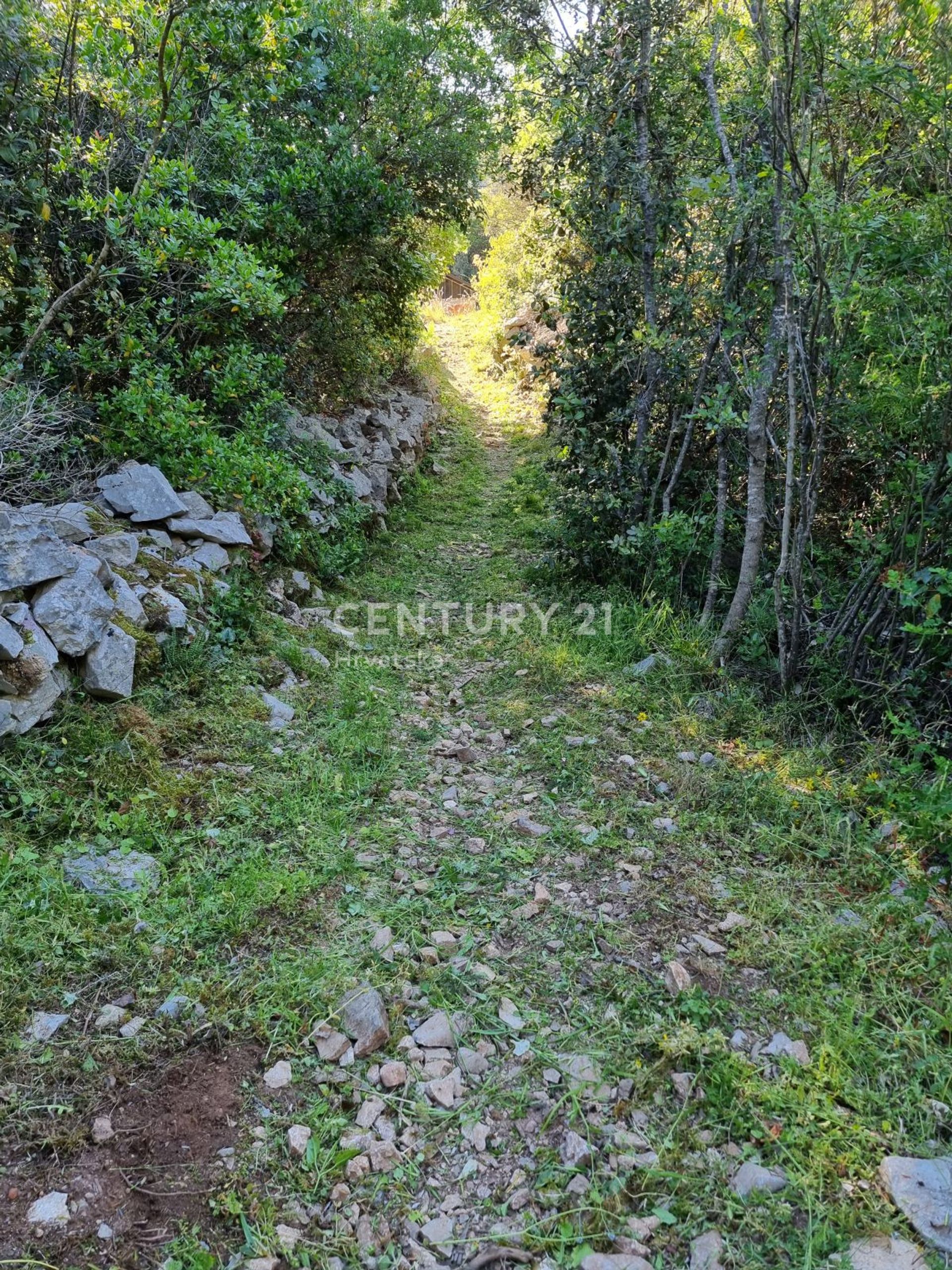 土地 在 特康, 扎達爾斯卡·祖帕尼婭 11888927