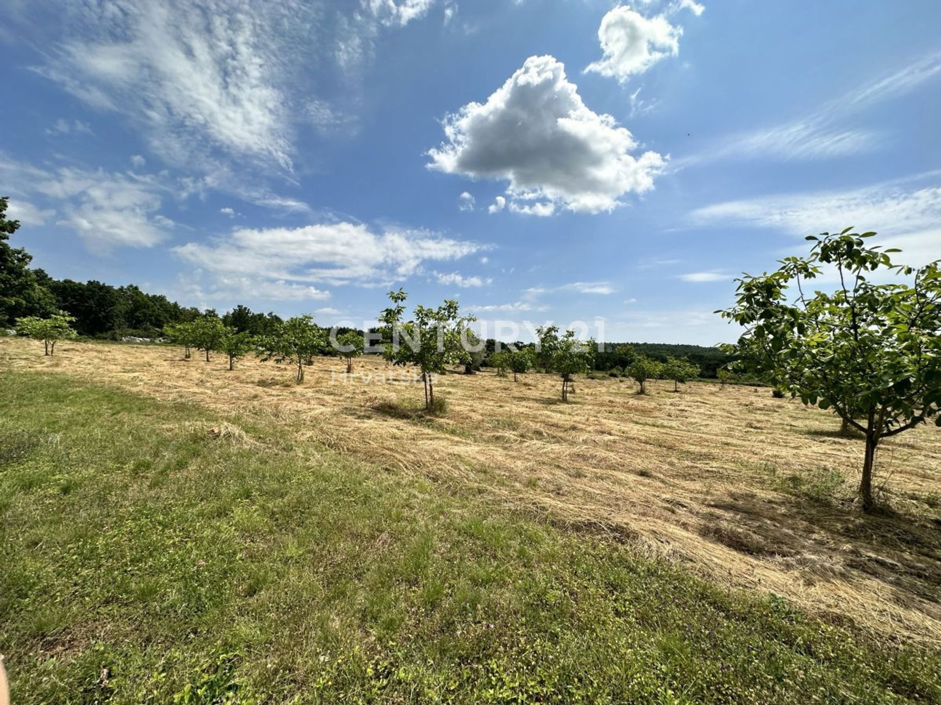 Land i Višnjan, Istria County 11888934