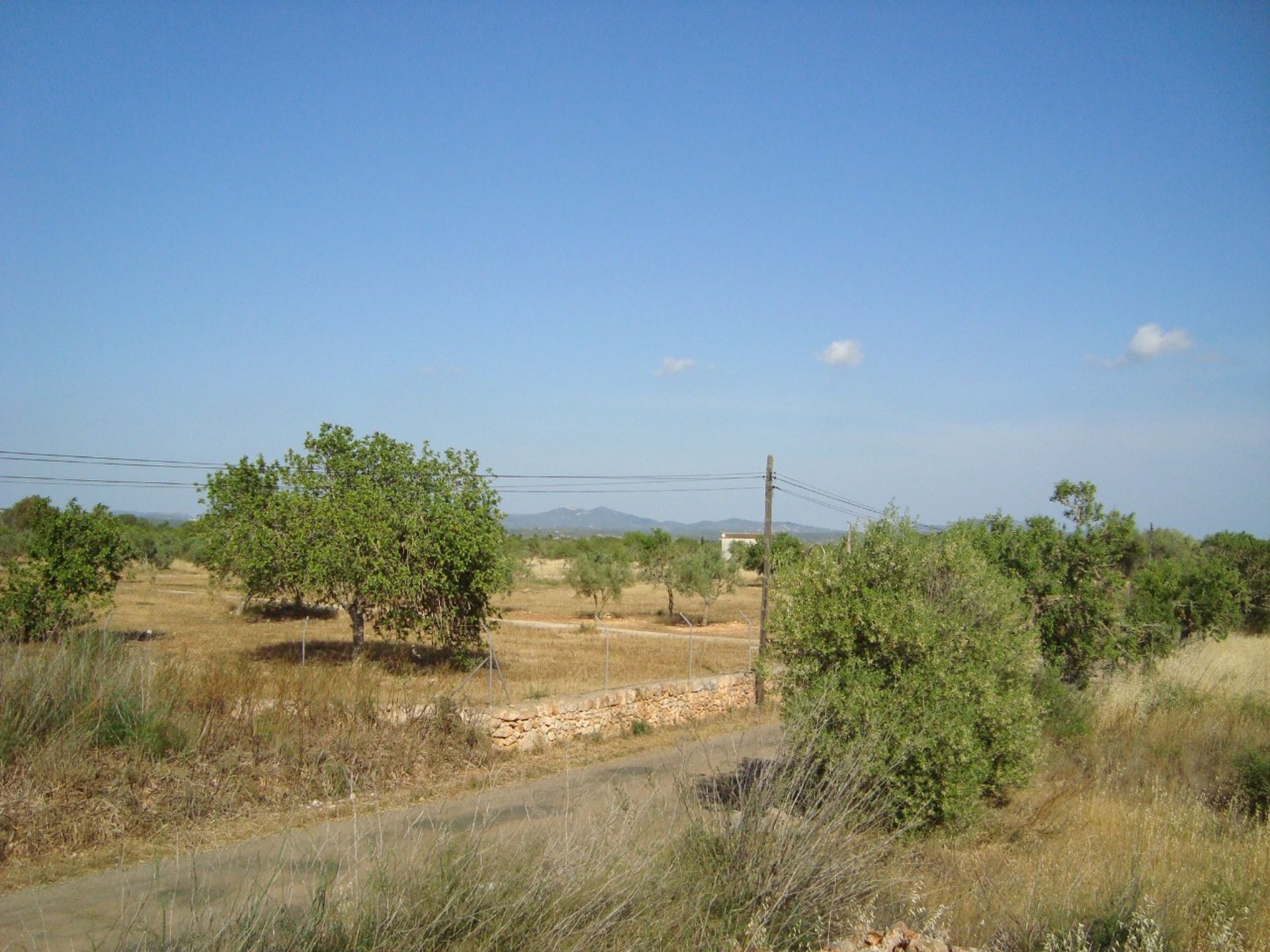 Land i Campos del Puerto, Balearene 11889224