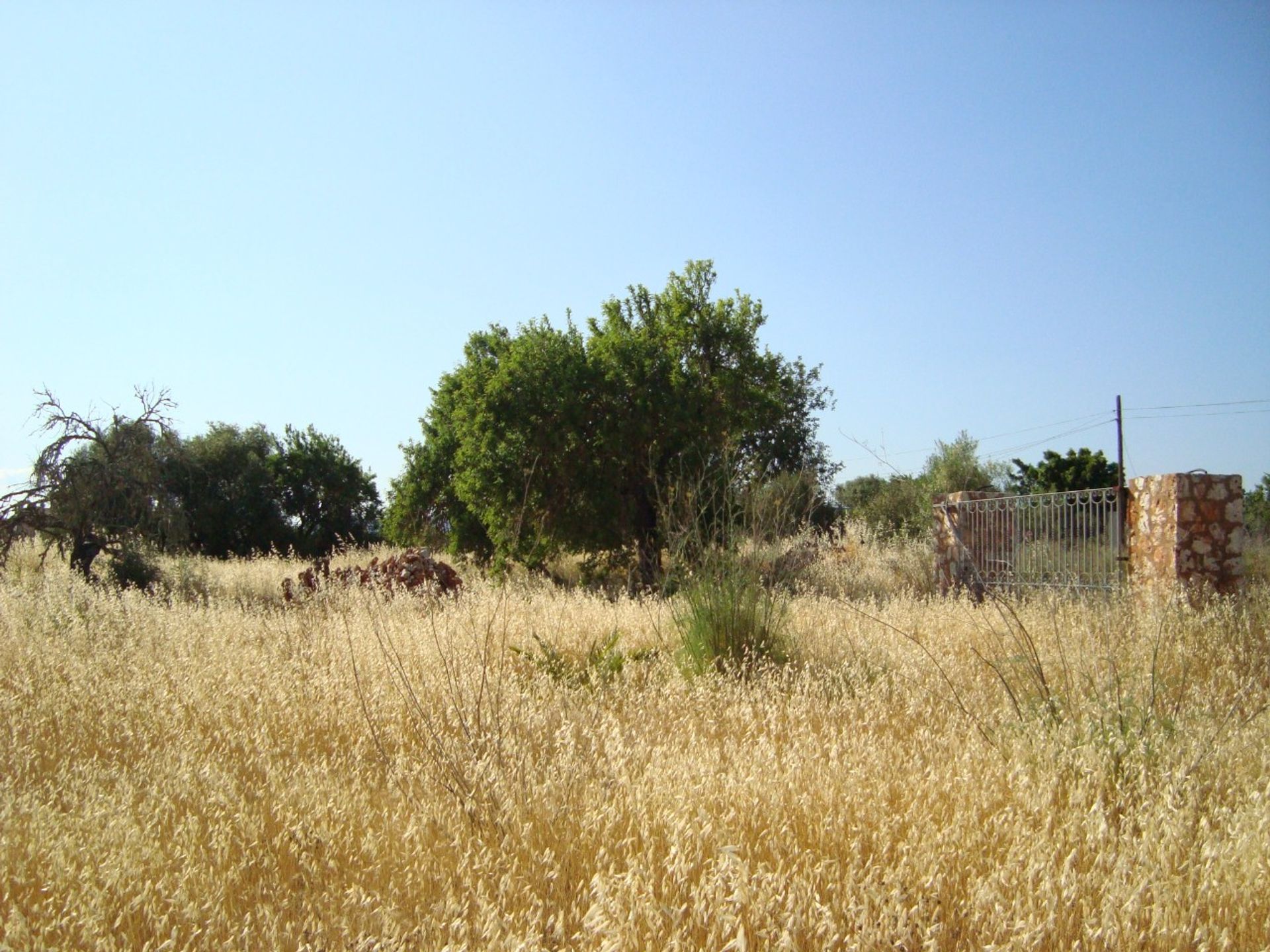 Tanah dalam Campos del Puerto, Kepulauan Balearic 11889224