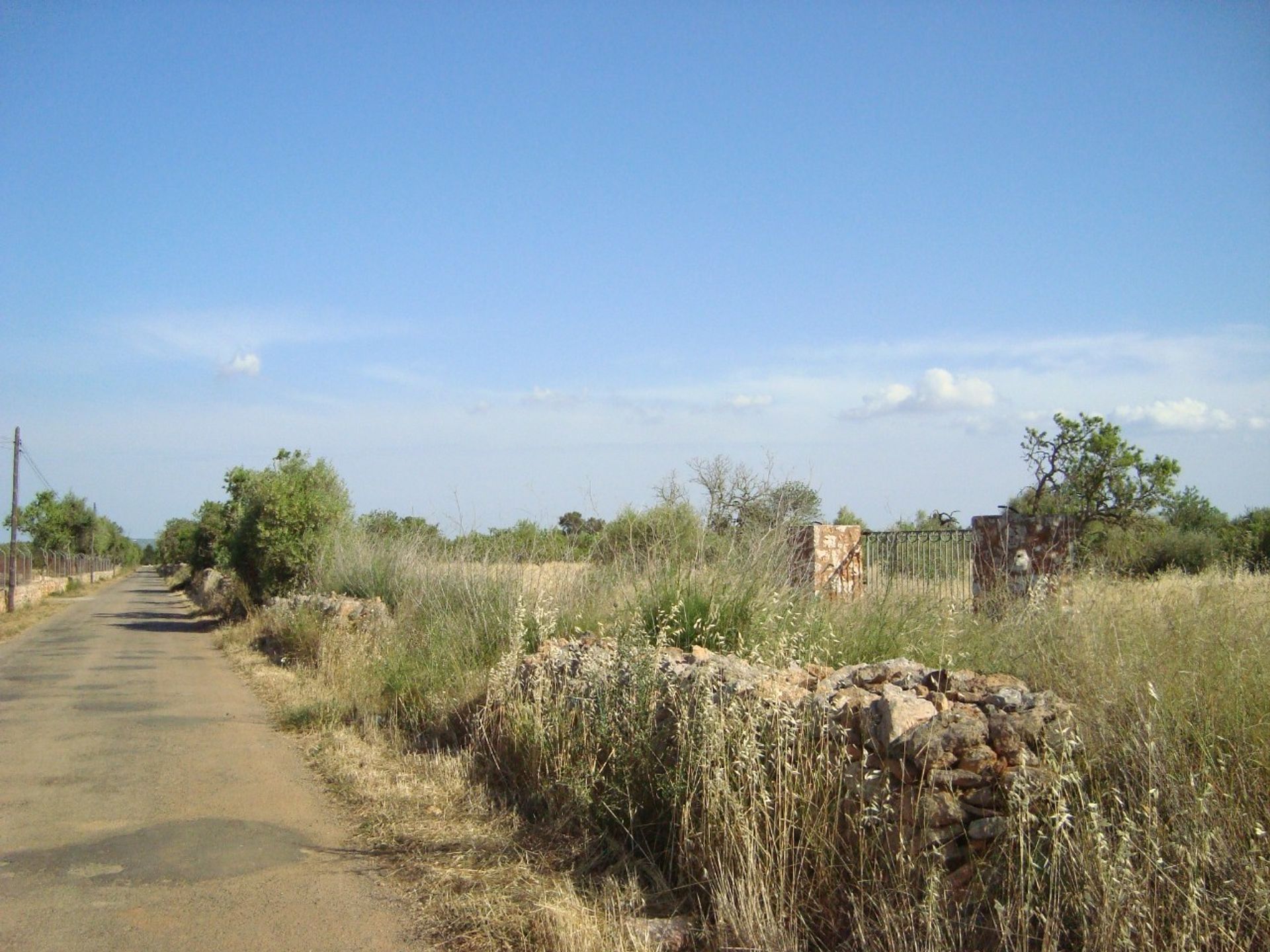 Land in Campos del Puerto, De Balearen 11889224