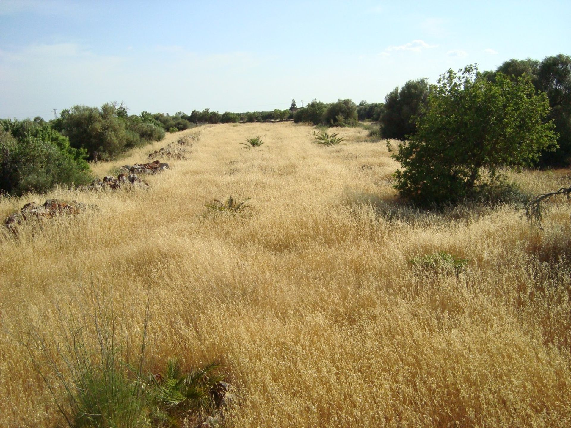 Maa sisään , Illes Balears 11889224