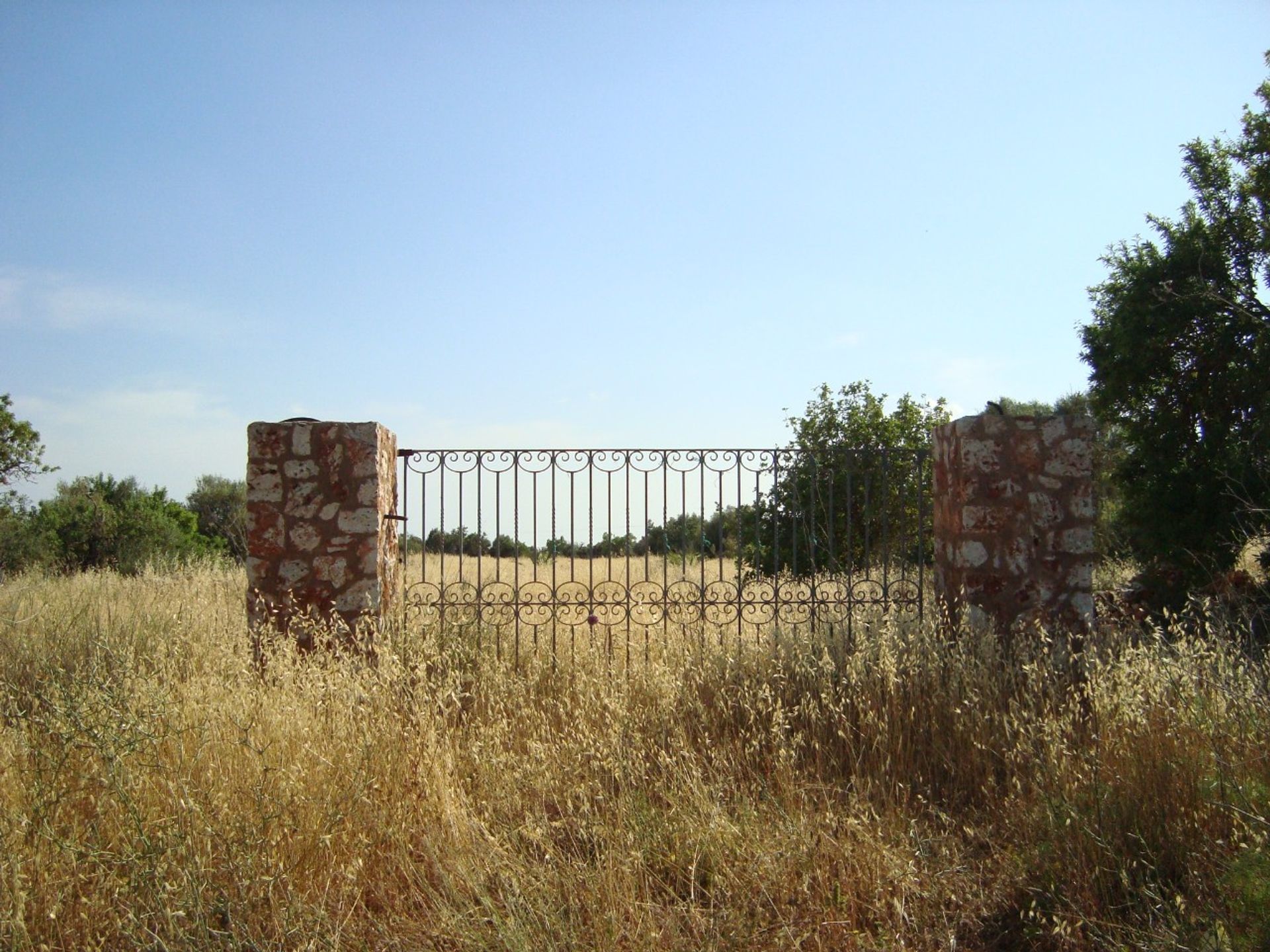 Land in Campos del Puerto, De Balearen 11889224