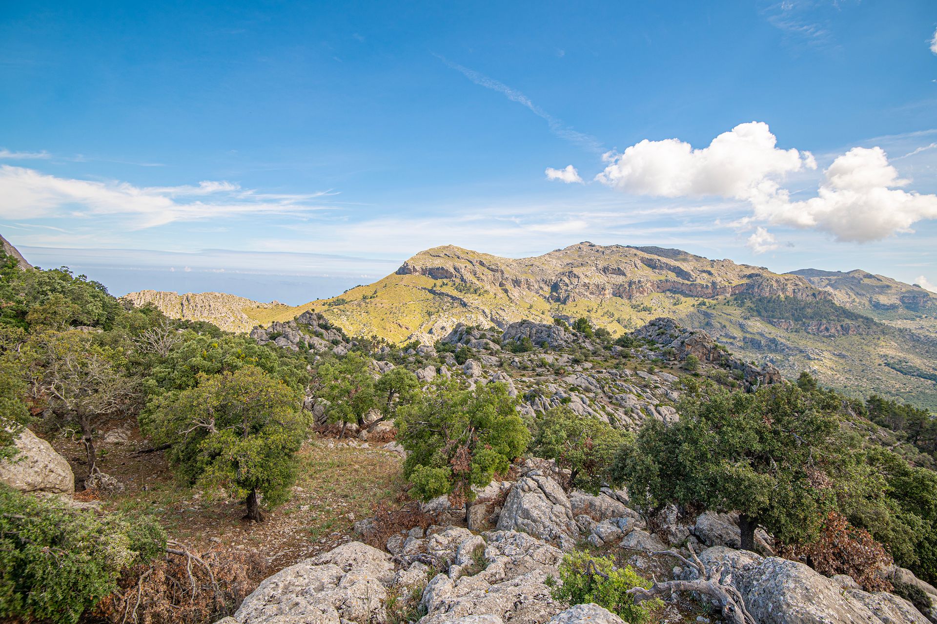 Hus i Escorca, Balearic Islands 11891333