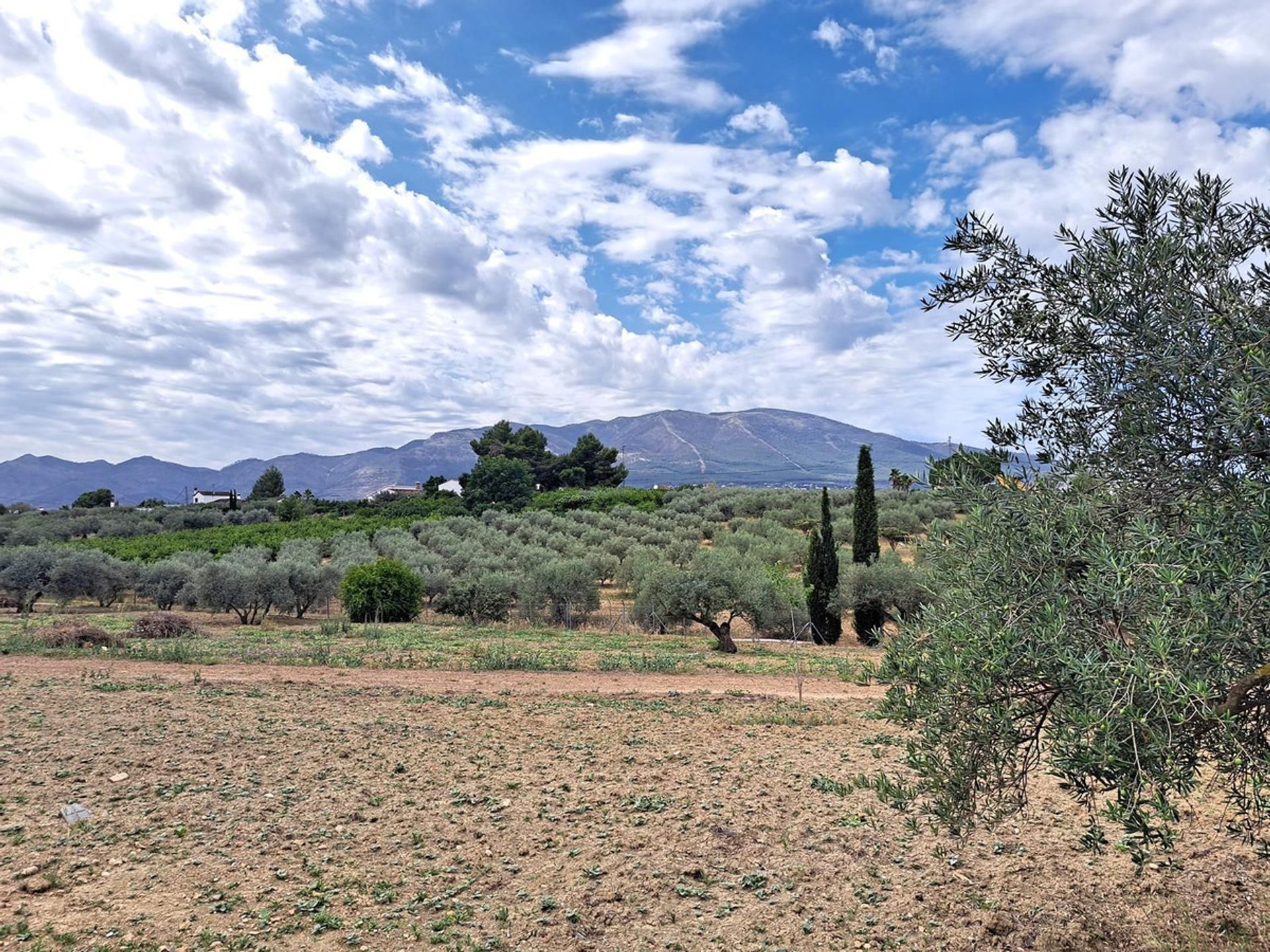 房子 在 Alhaurín el Grande, Andalucía 11898119