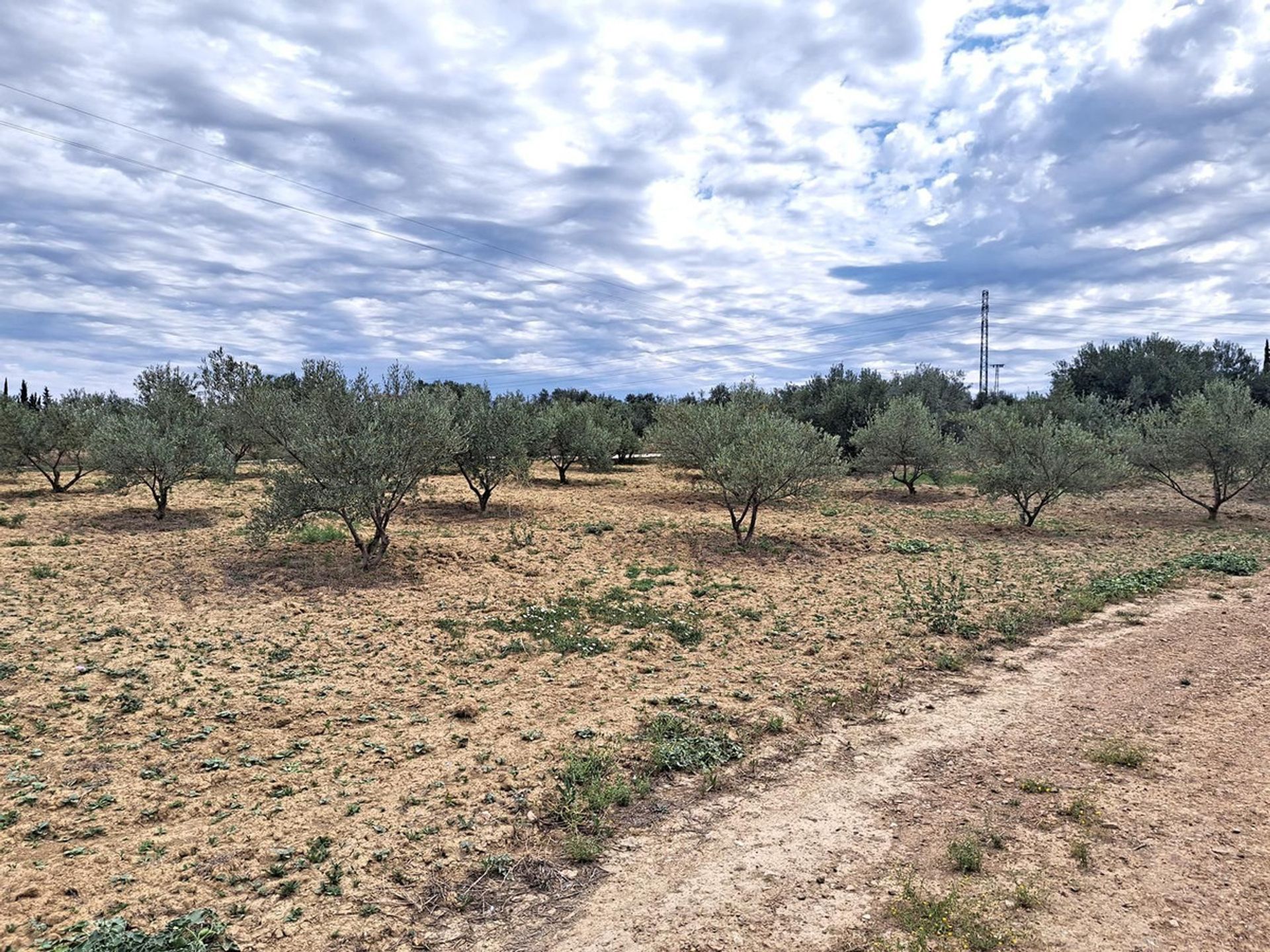 房子 在 Alhaurín el Grande, Andalucía 11898119