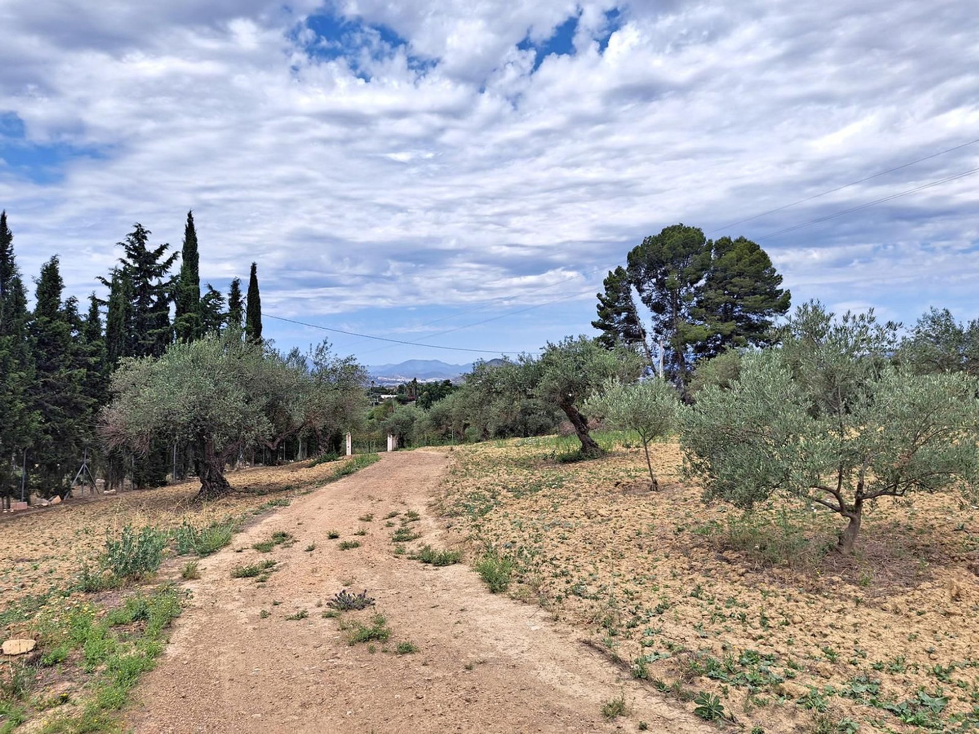 房子 在 Alhaurín el Grande, Andalucía 11898119