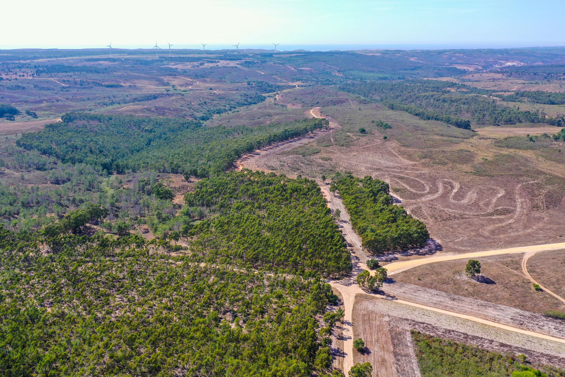 Tierra en Budens, Faraón 11900066