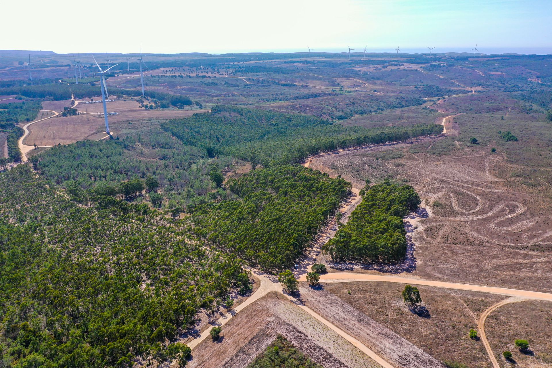 Tierra en Budens, Faraón 11900066