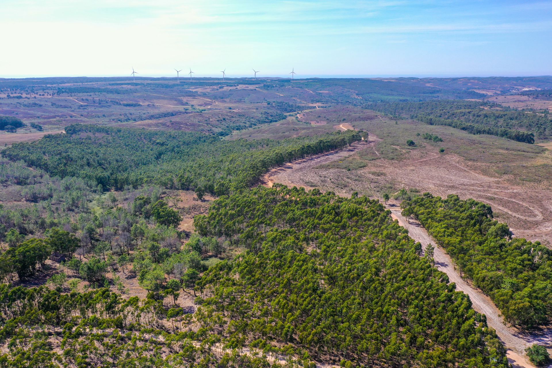 Tierra en Budens, Faraón 11900066