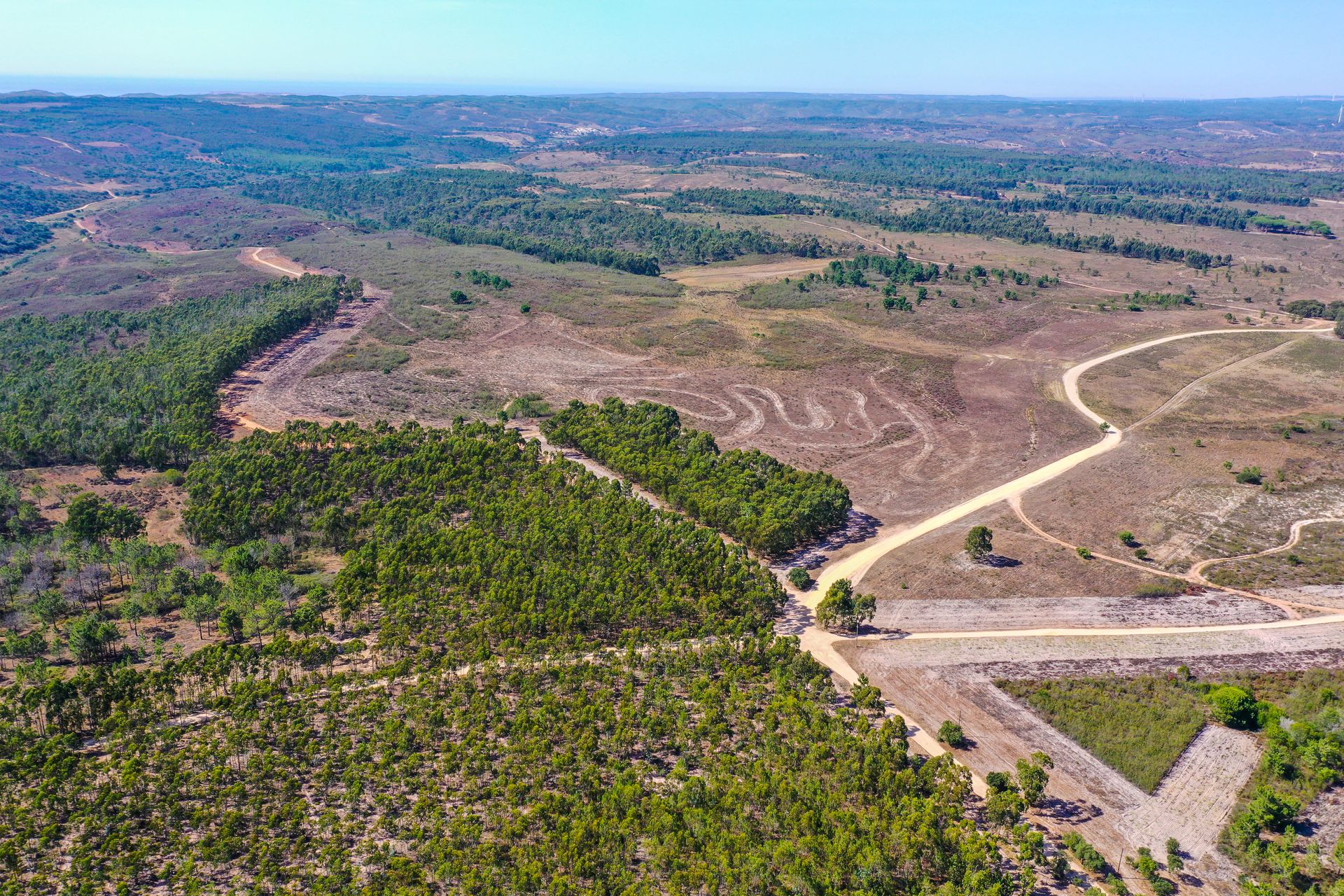 Tierra en Budens, Faraón 11900066