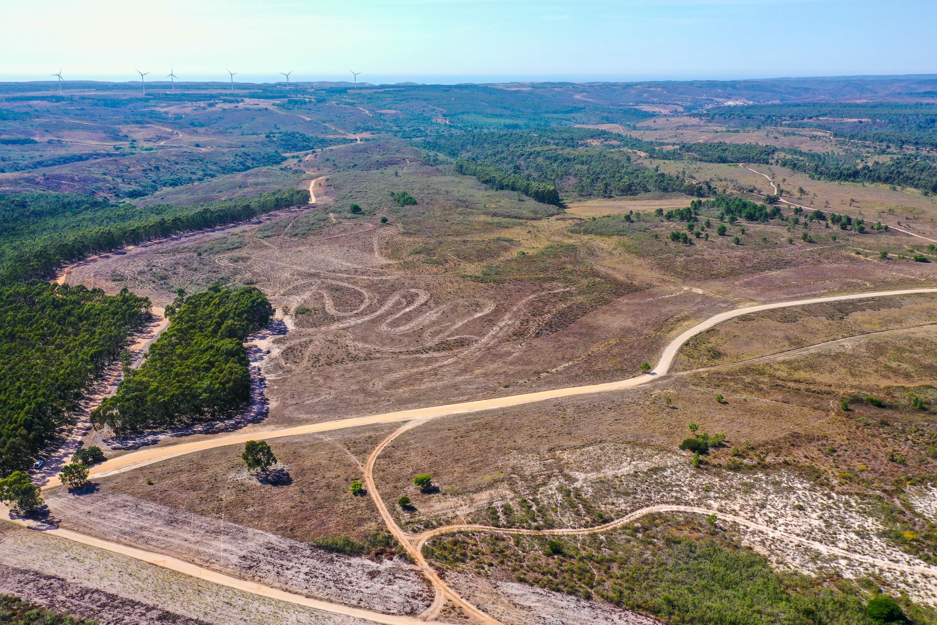 Tierra en Budens, Faraón 11900066