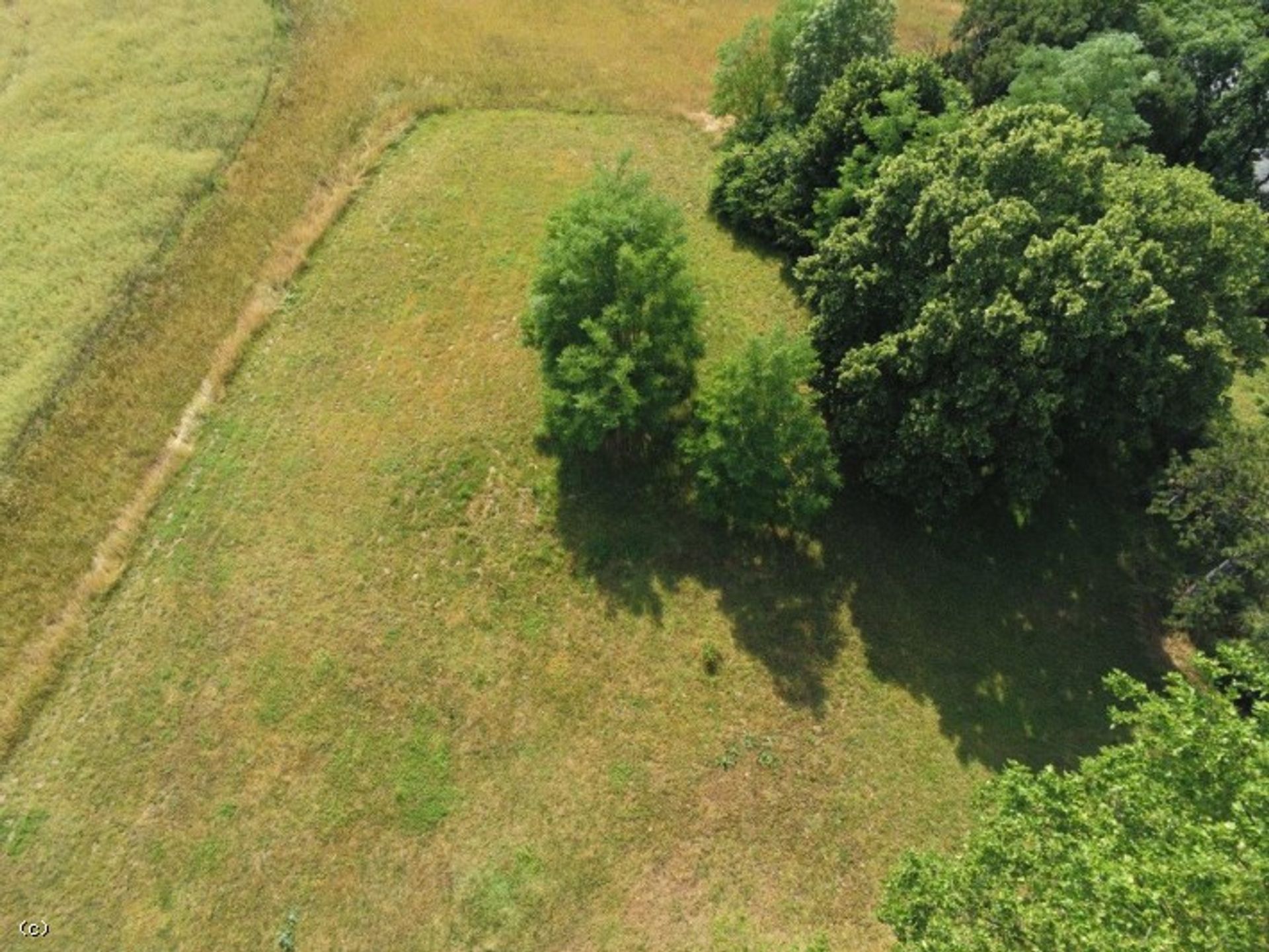 Condominium in Mansle, Nouvelle-Aquitaine 11901025