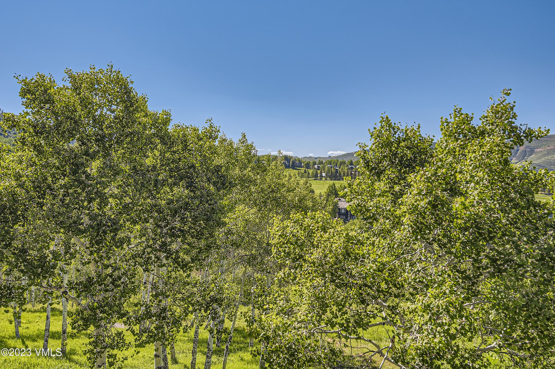 House in Edwards, Colorado 11903771