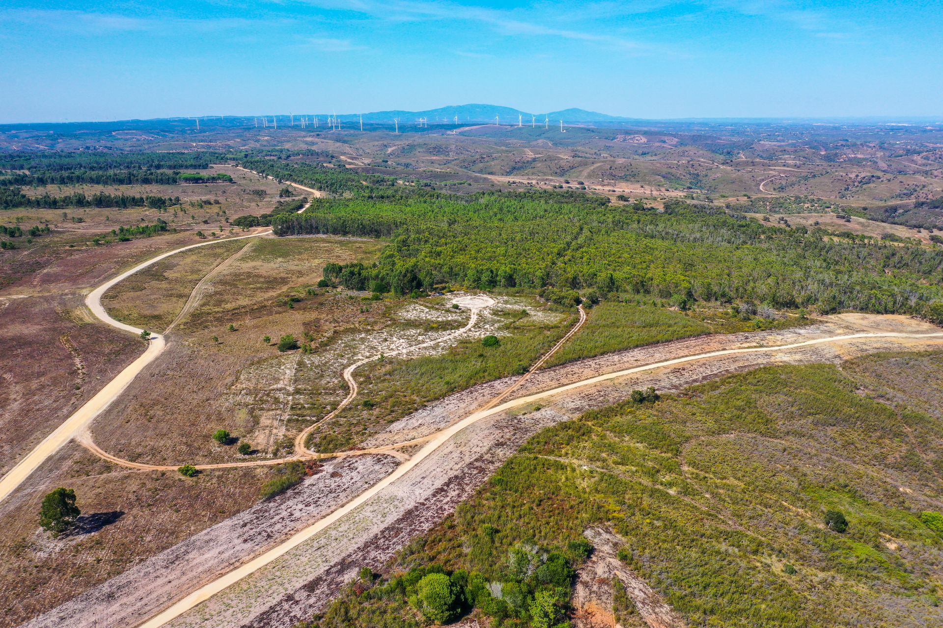 Terre dans Budens, Faro 11907332