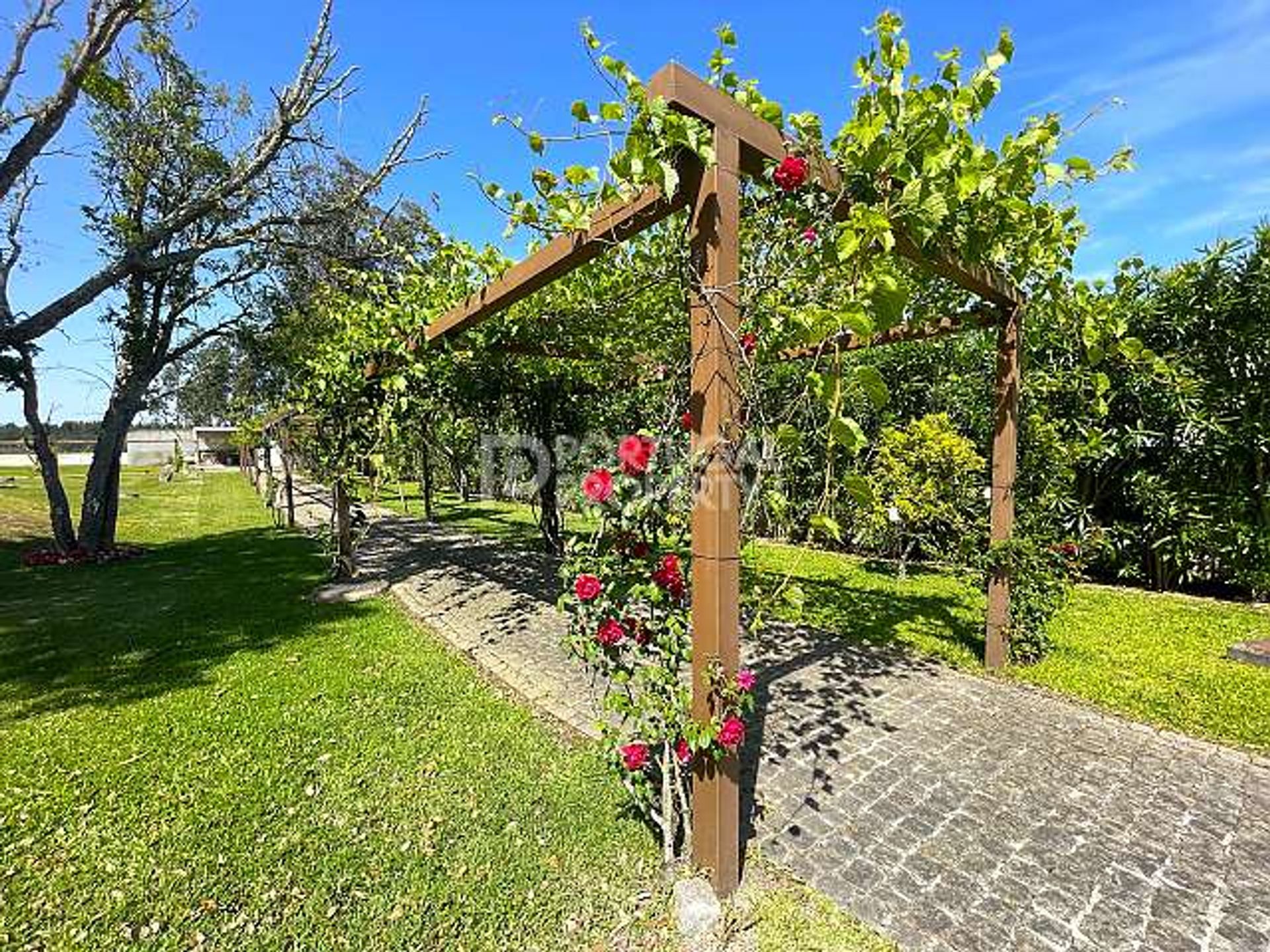 Huis in Aveiro, Aveiro District 11907619