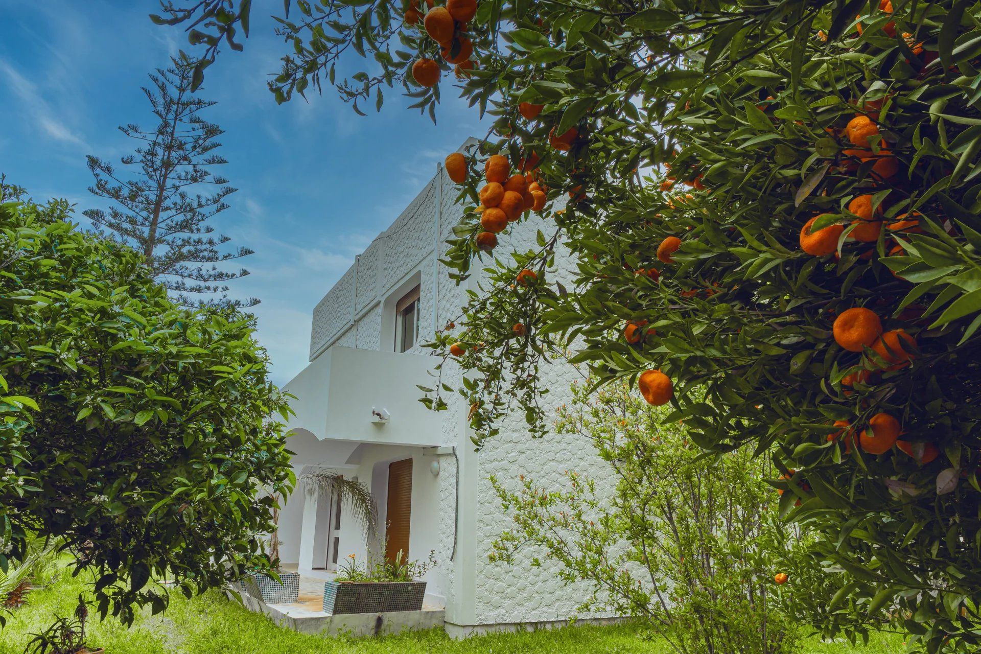 Casa nel Lqamra, Rabat-Salé-Kénitra 11912334