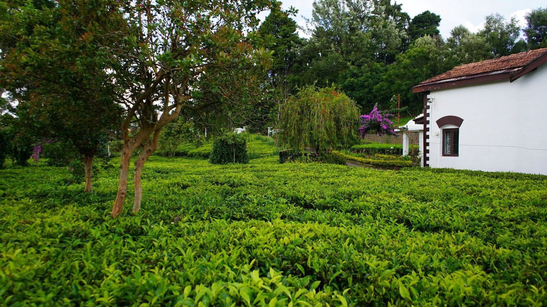 Casa nel Coonoor, Tamil Nadu 11912349