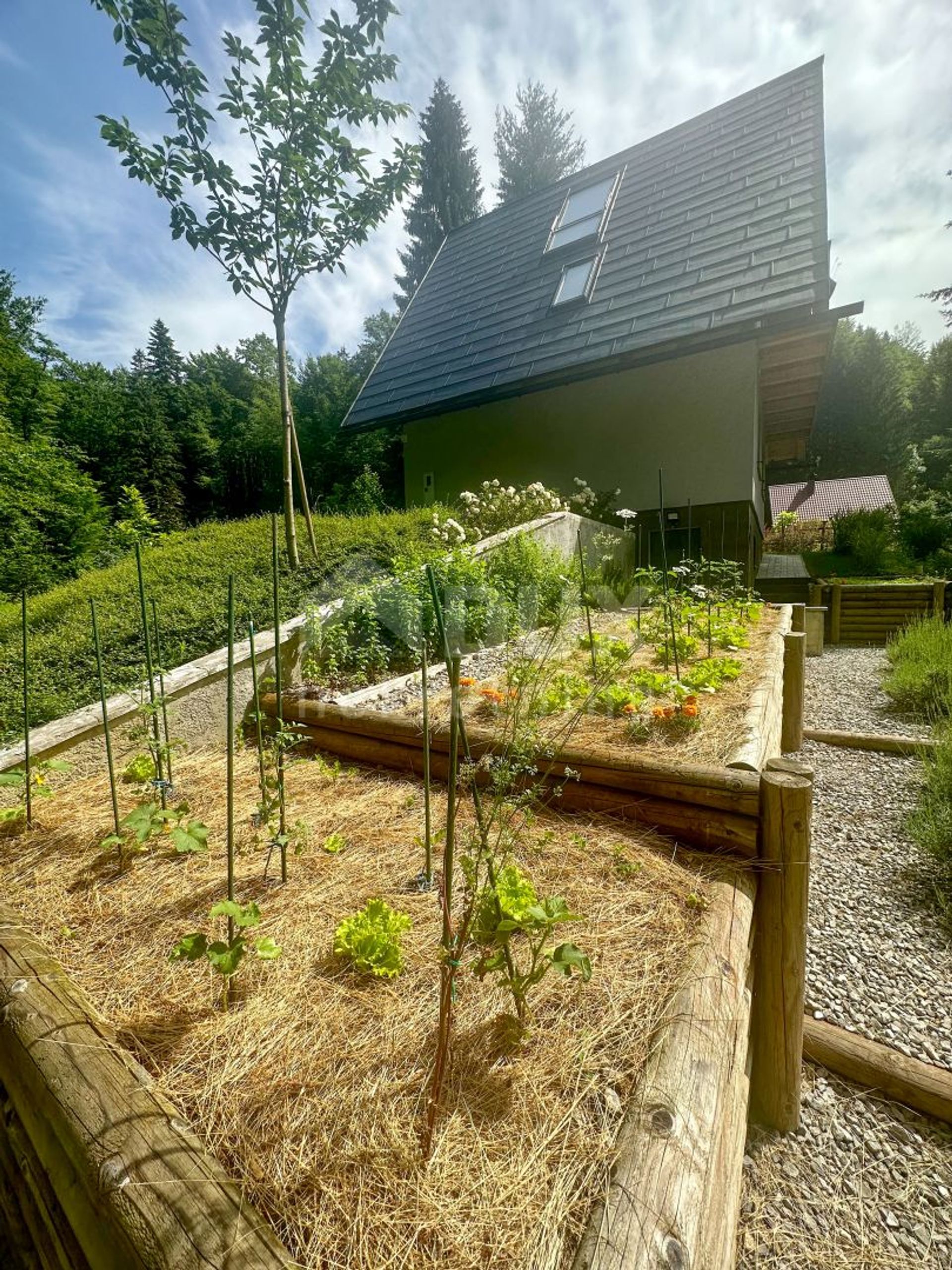 Haus im Brod na Kupi, Primorje-Gorski Kotar County 11914356