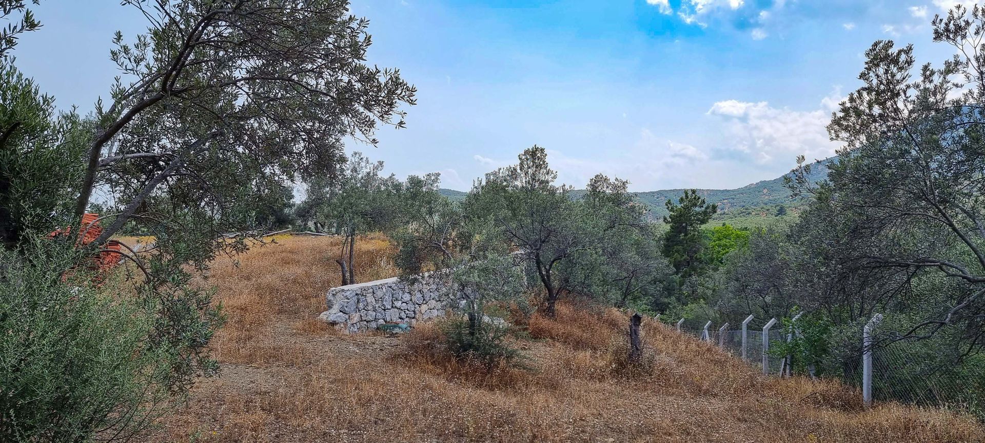 بيت في Narlı, Balıkesir 11918920