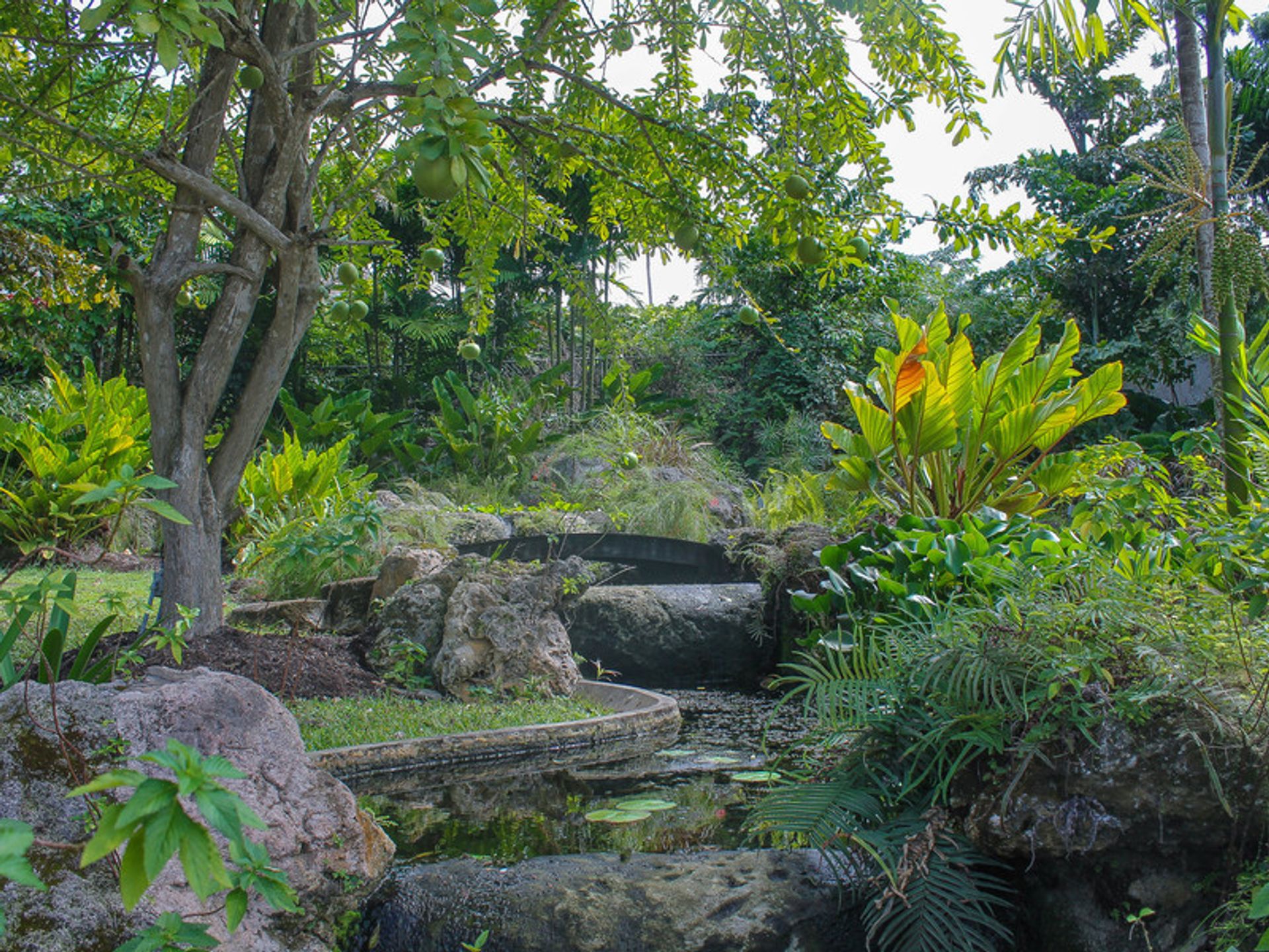 rumah dalam Gunung Berdiri, Saint James 11920005