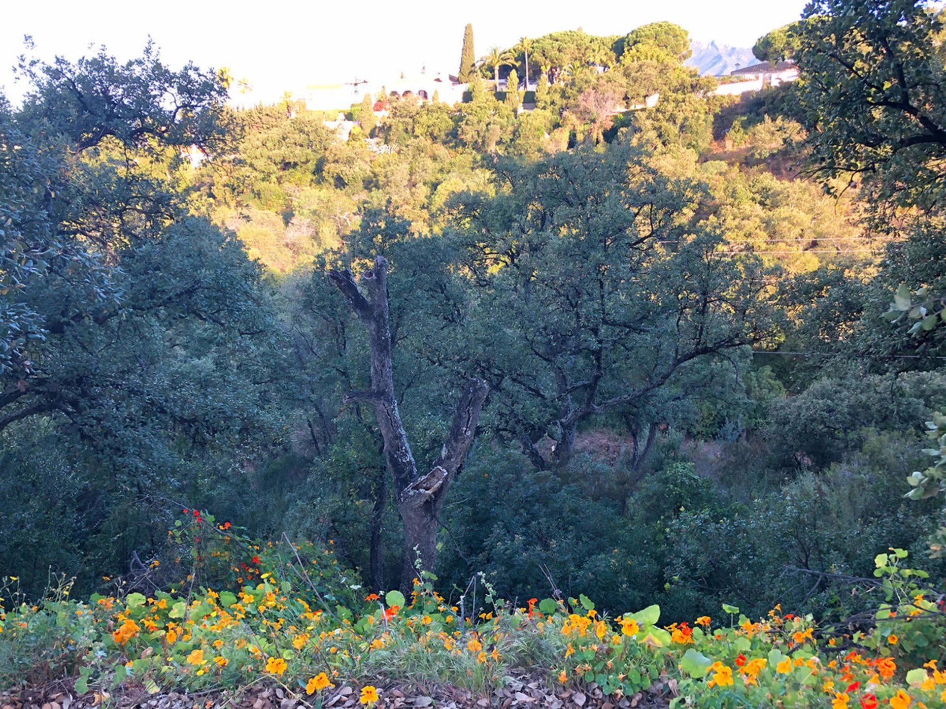 Land im Marbella, Andalucía 11920281